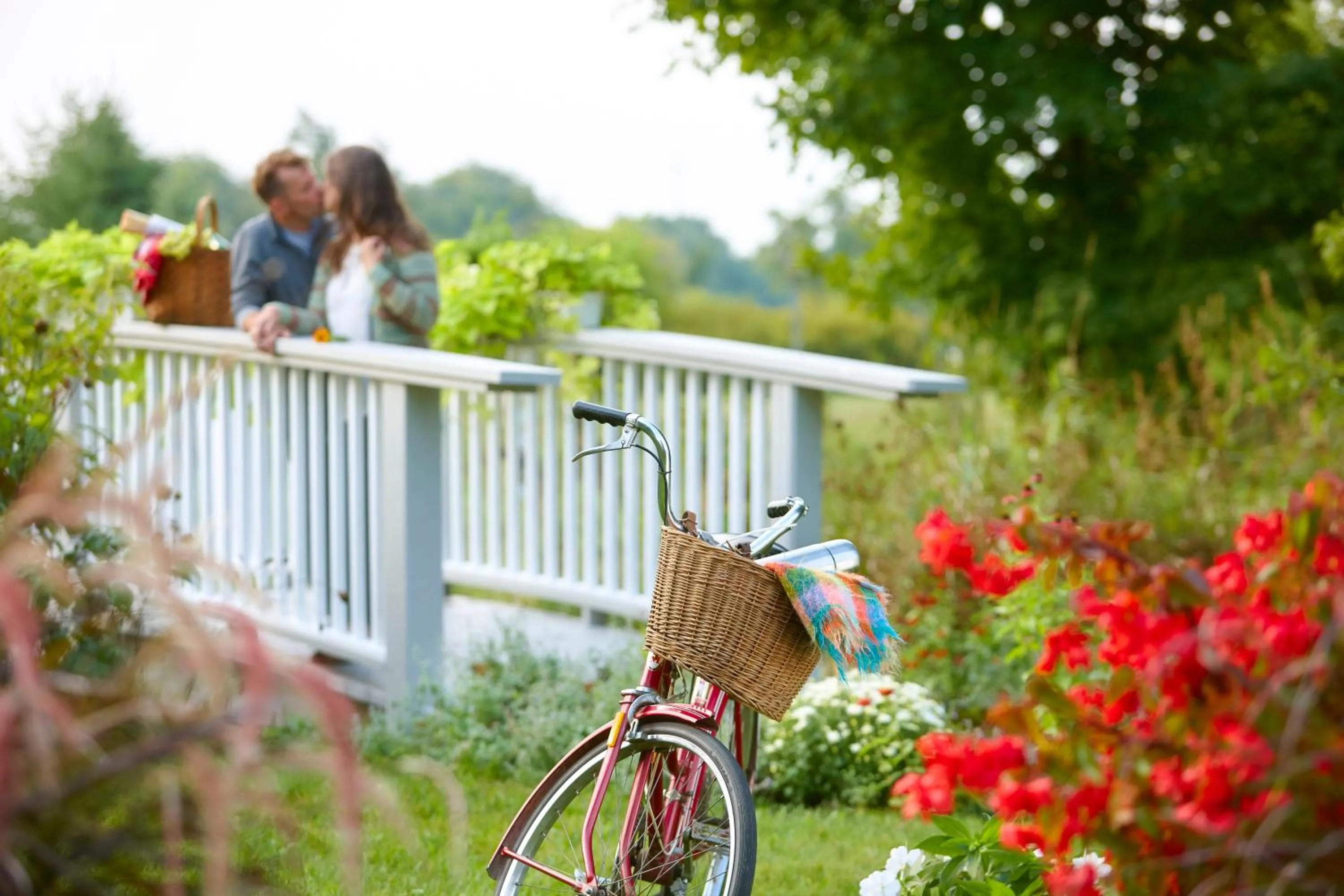 Garden in The Waring House