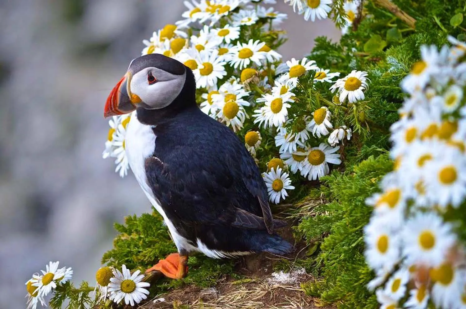 Shower in Hotel Selja