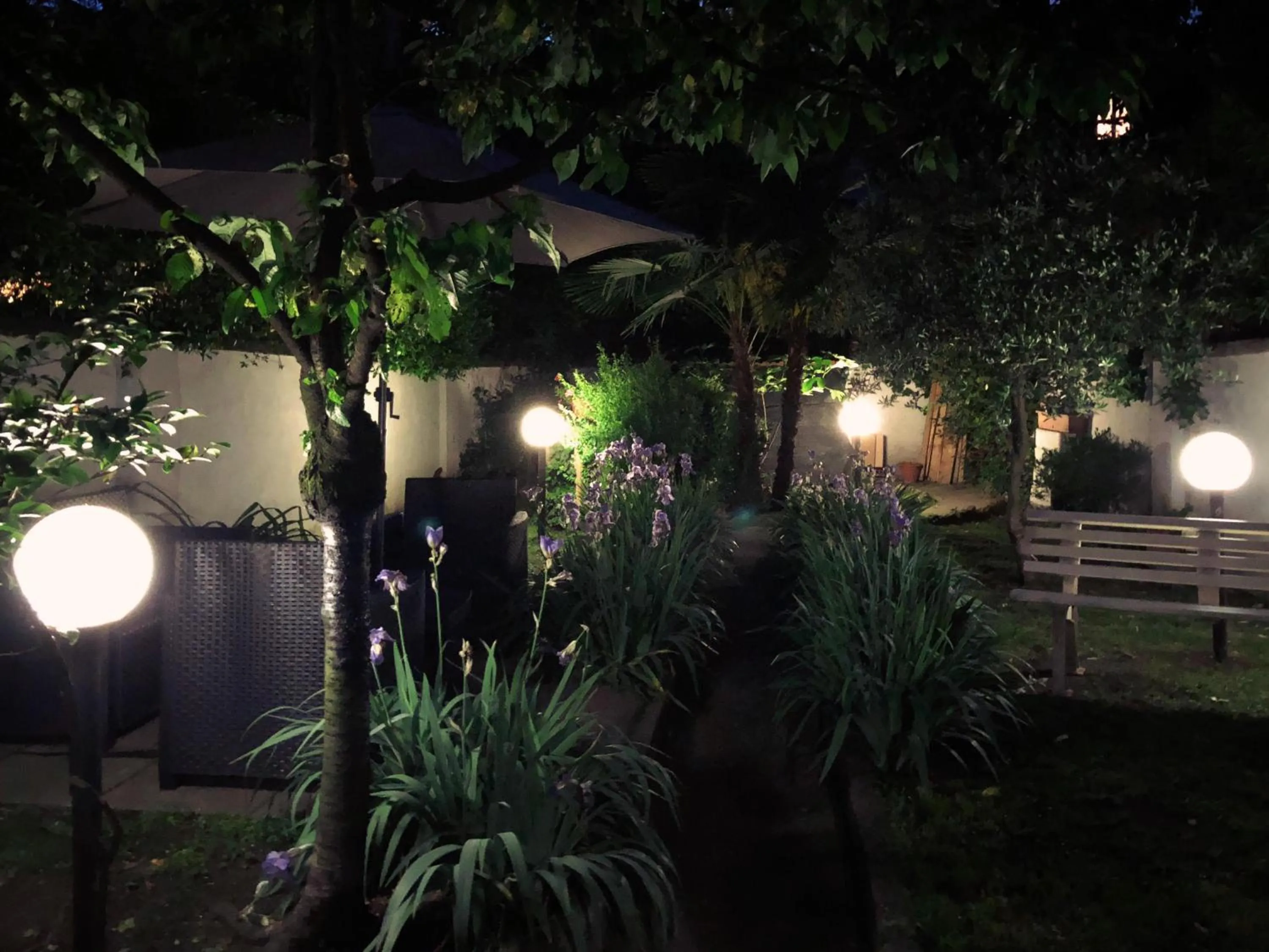 Garden in Hotel Due Giardini