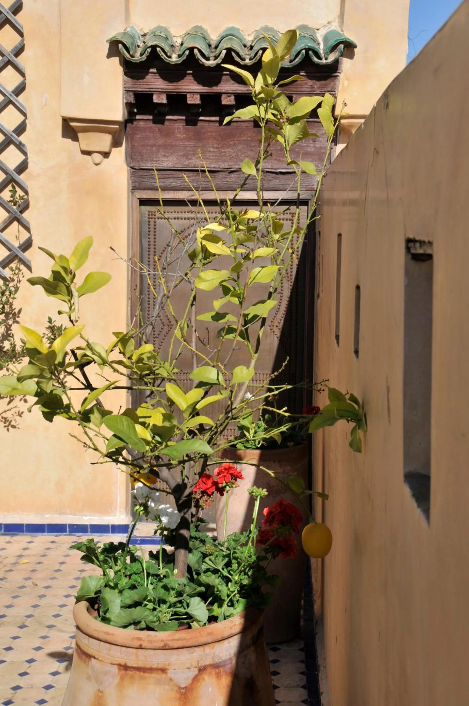 Property building in La Cheminée Bleue Fes