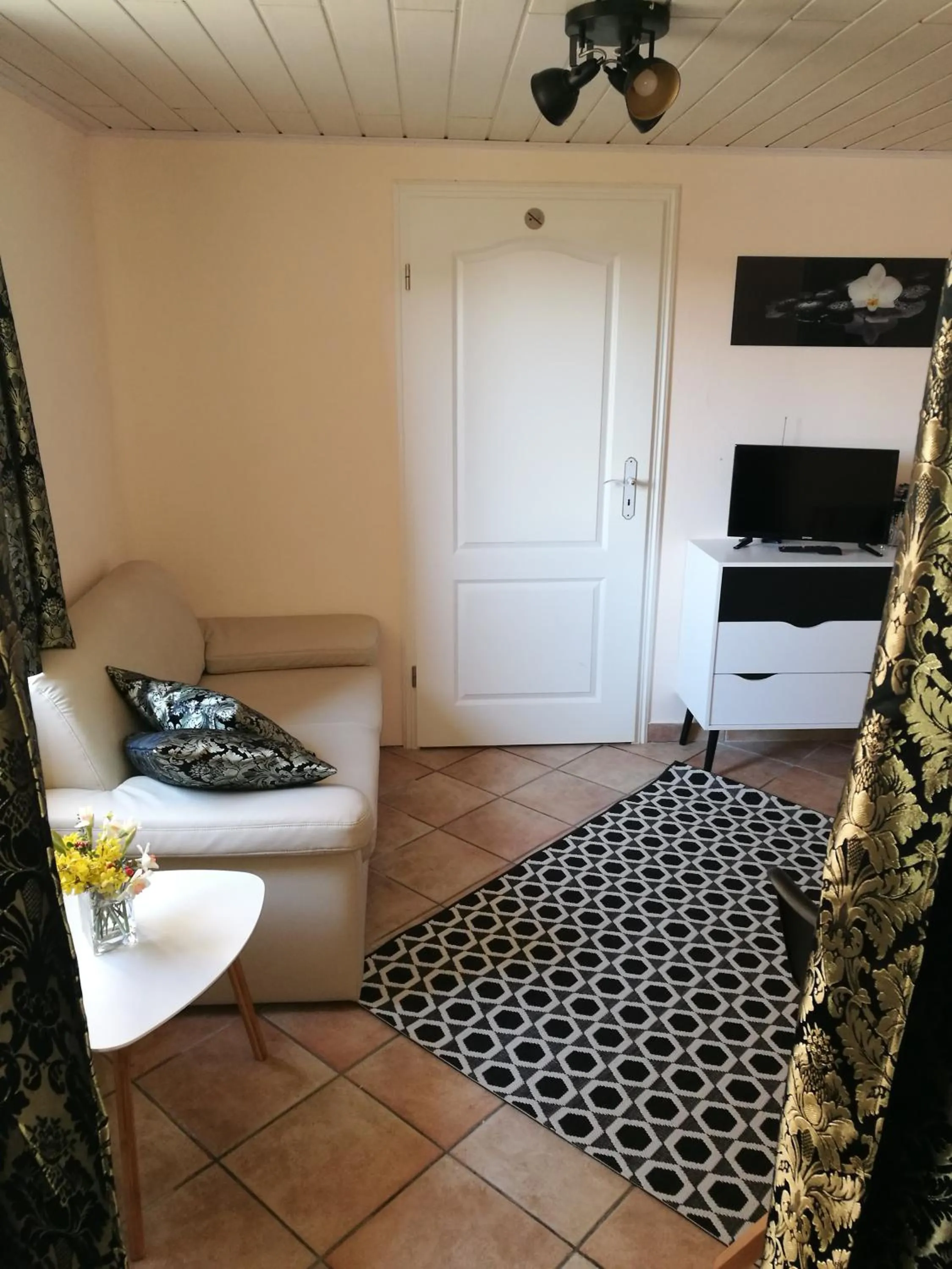 Photo of the whole room in Elbhangzimmer Dresden