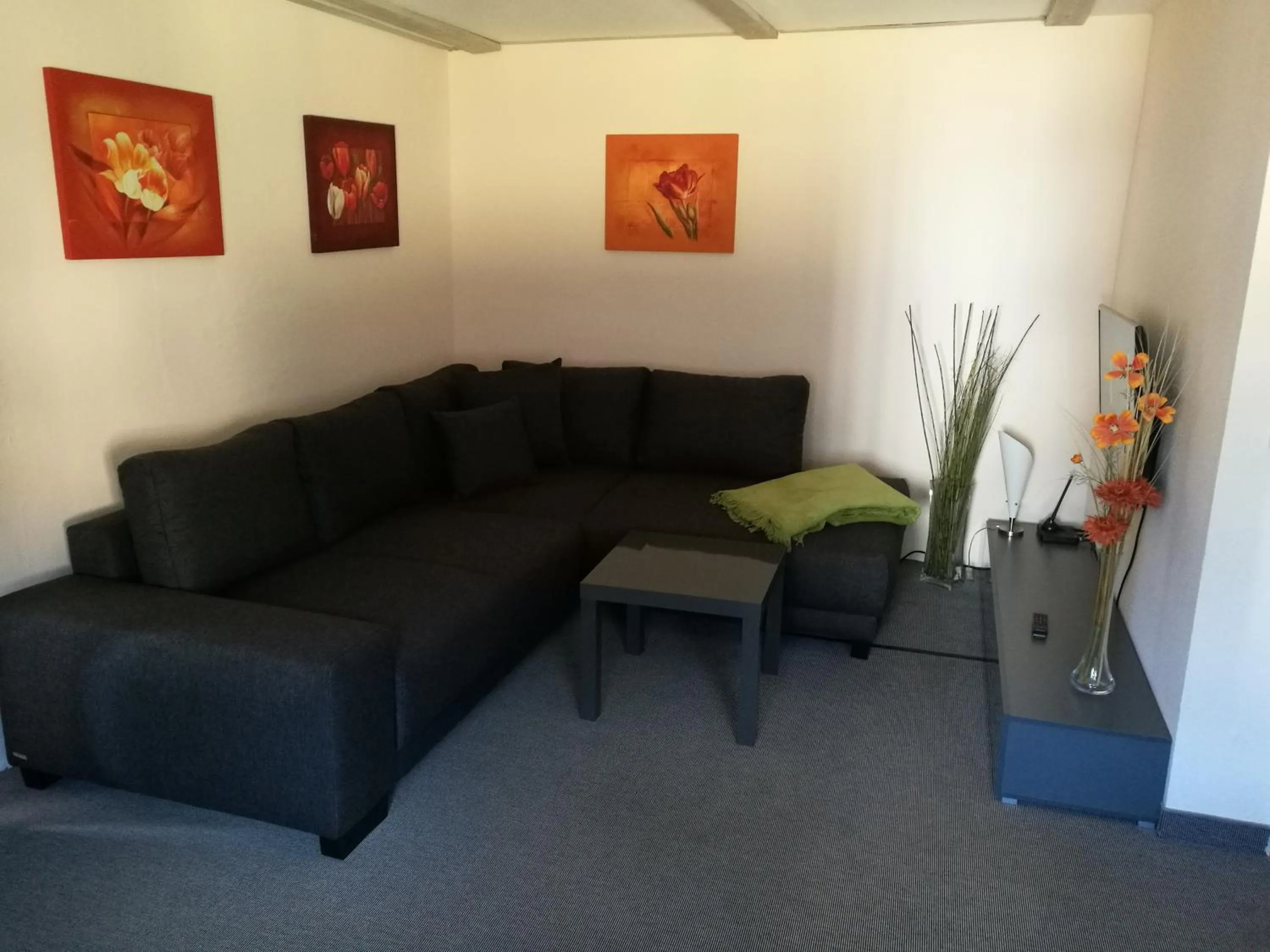 Photo of the whole room in Elbhangzimmer Dresden