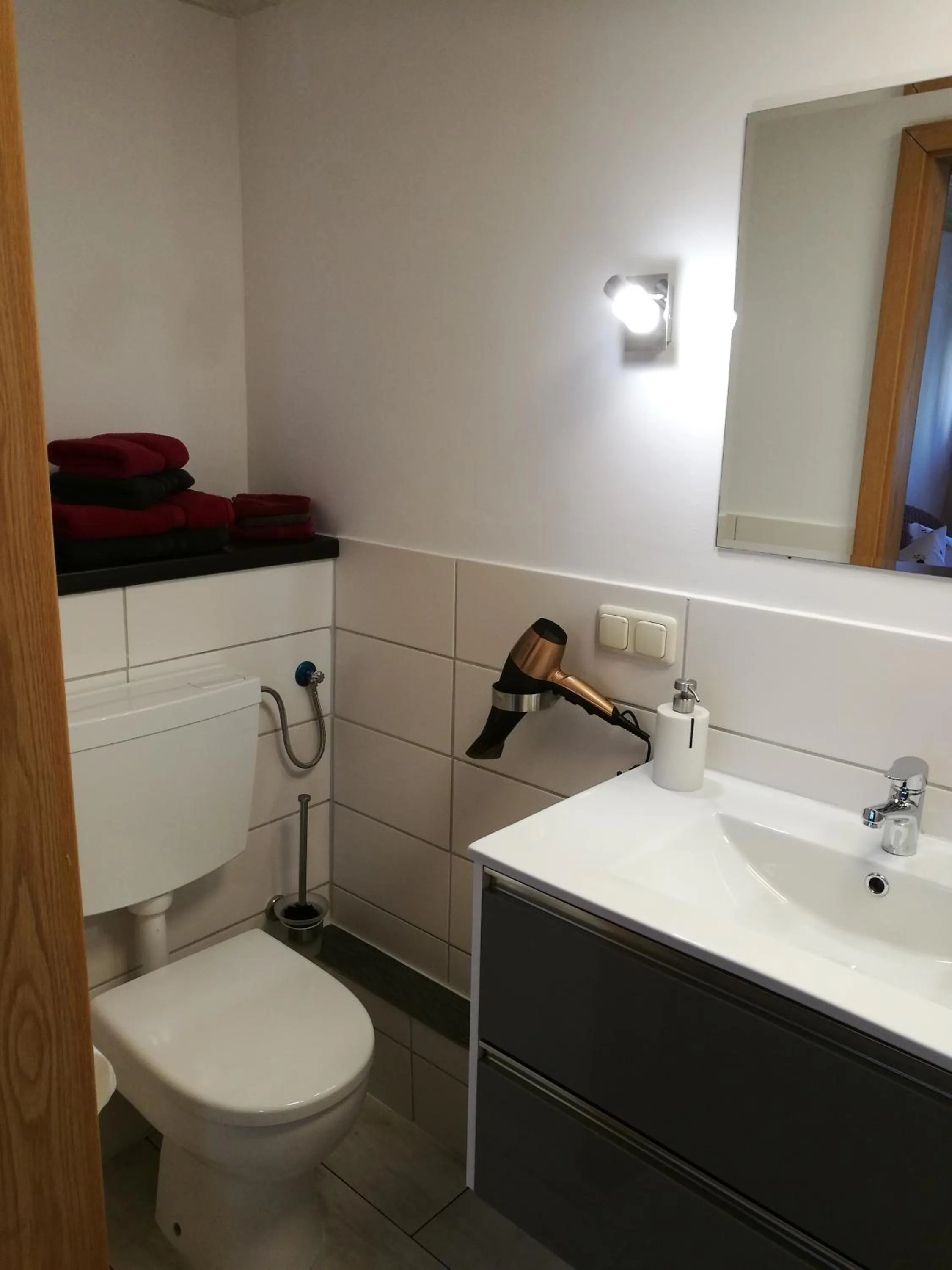 Toilet in Elbhangzimmer Dresden