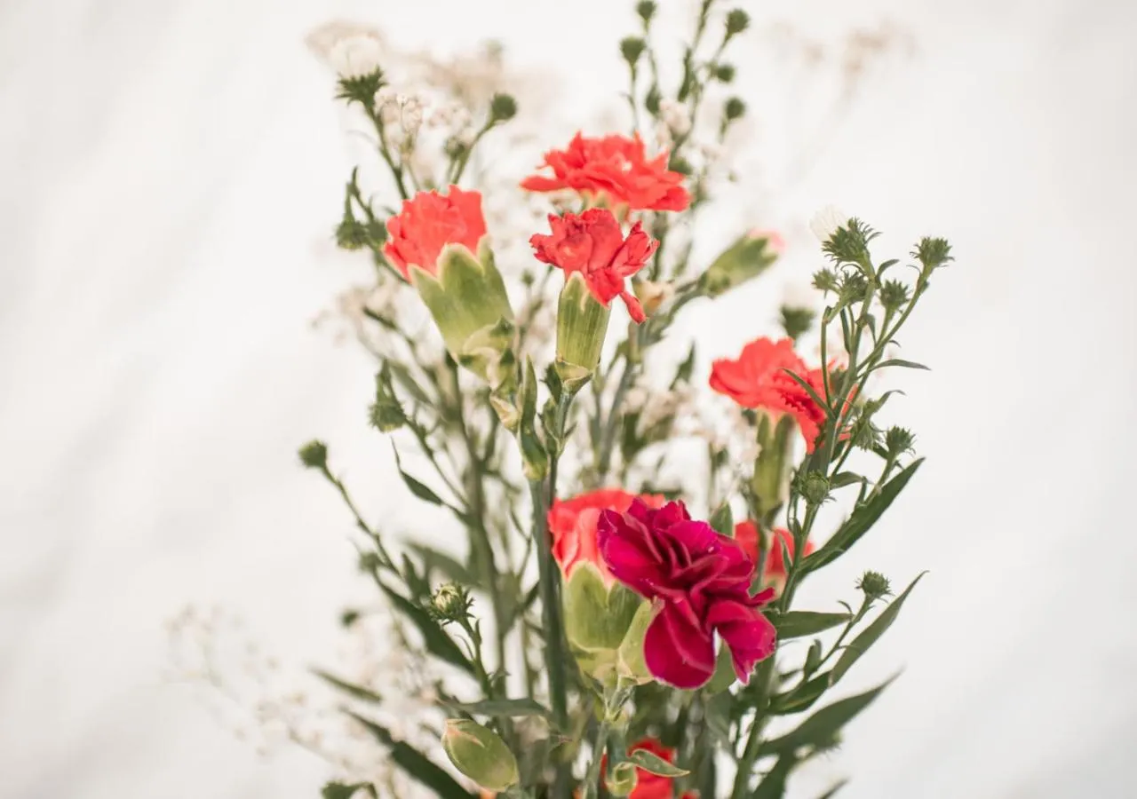 Decorative detail in Villa Los Mangles Boutique Hotel