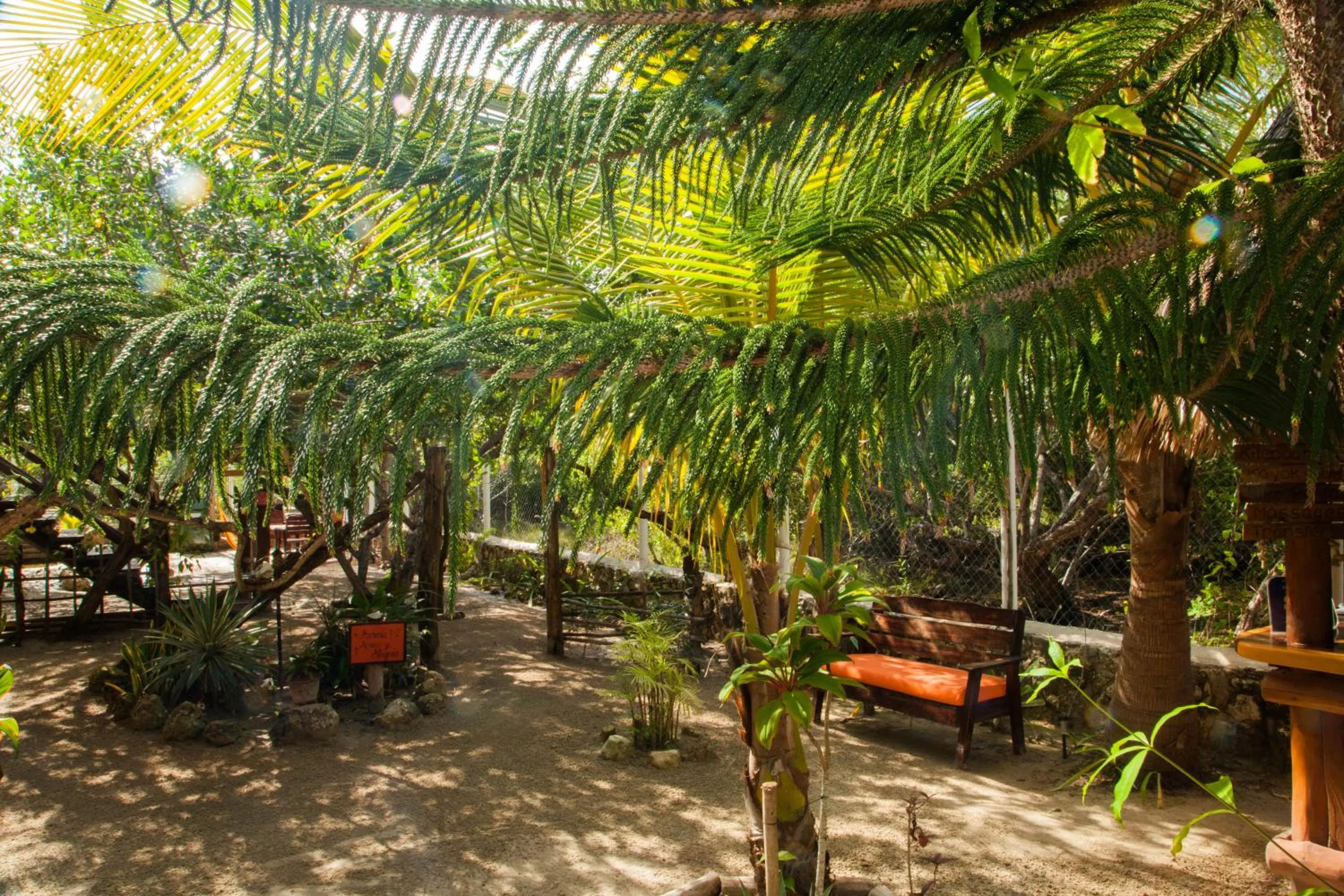 Garden in Villa Los Mangles Boutique Hotel