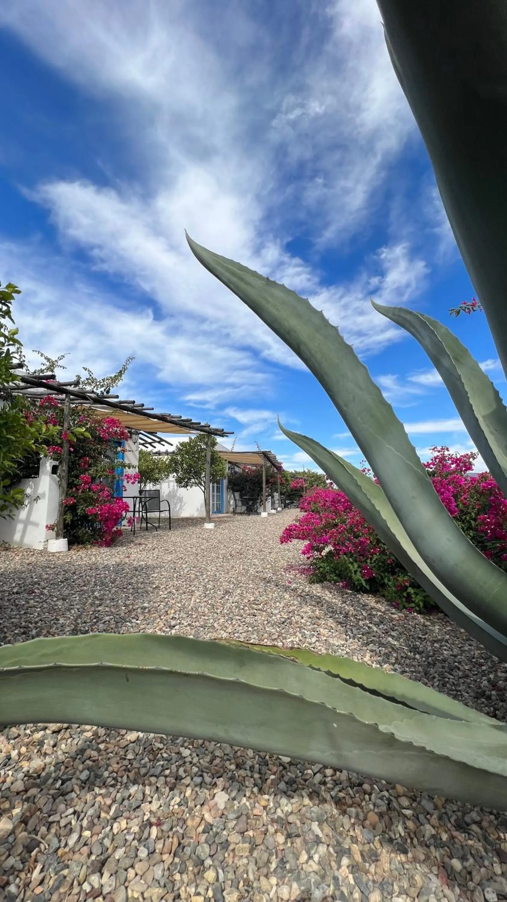 Garden view in Santerra, Valle de Guadalupe
