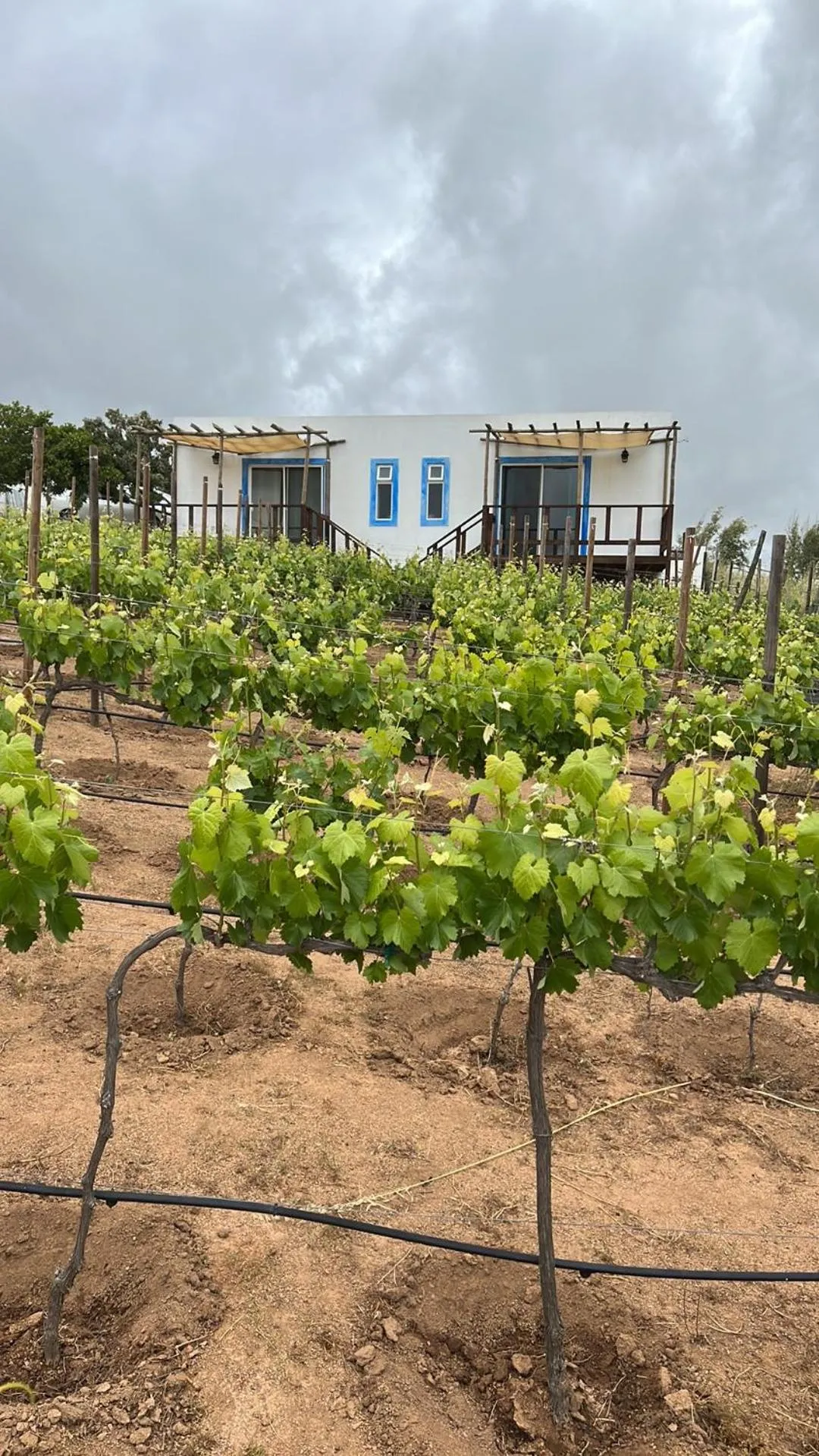 Property building in Santerra, Valle de Guadalupe