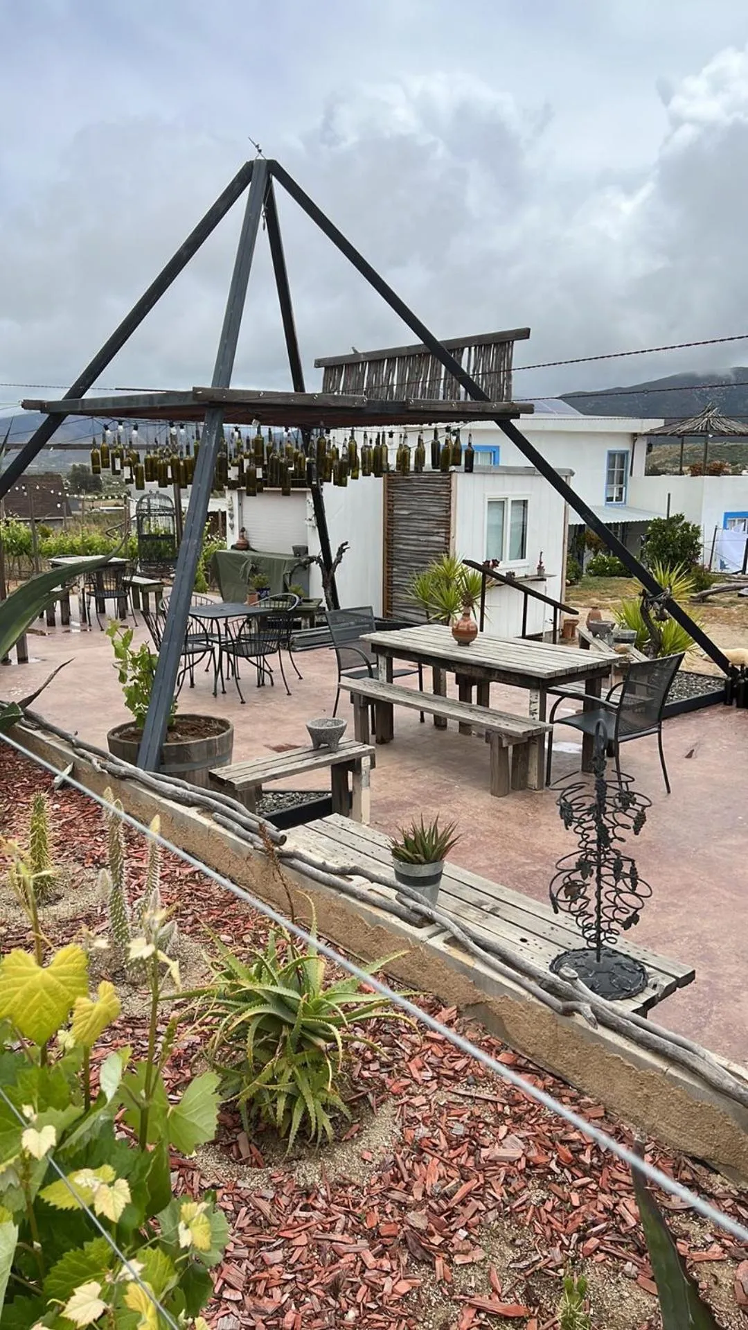 Breakfast in Santerra, Valle de Guadalupe