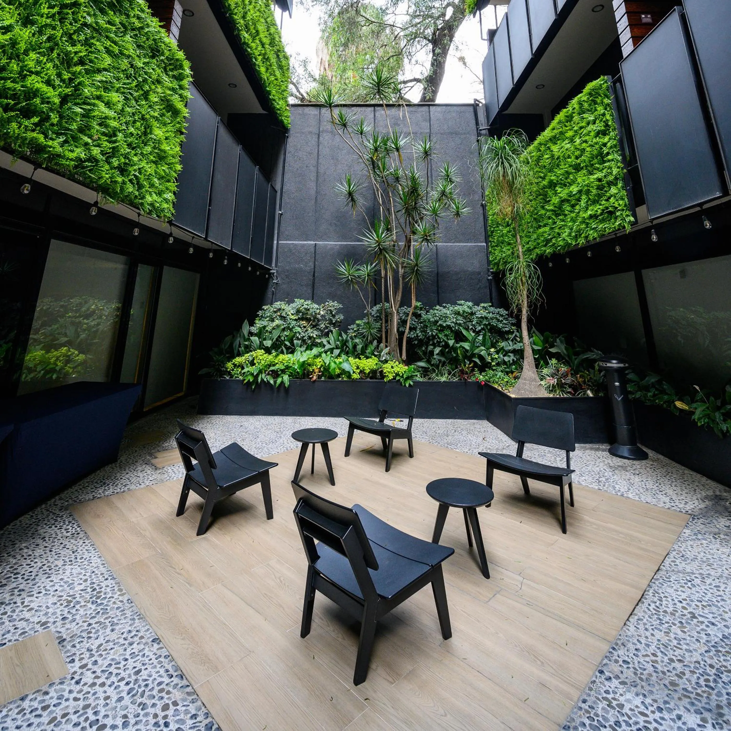 Patio in Las Suites Campos Eliseos