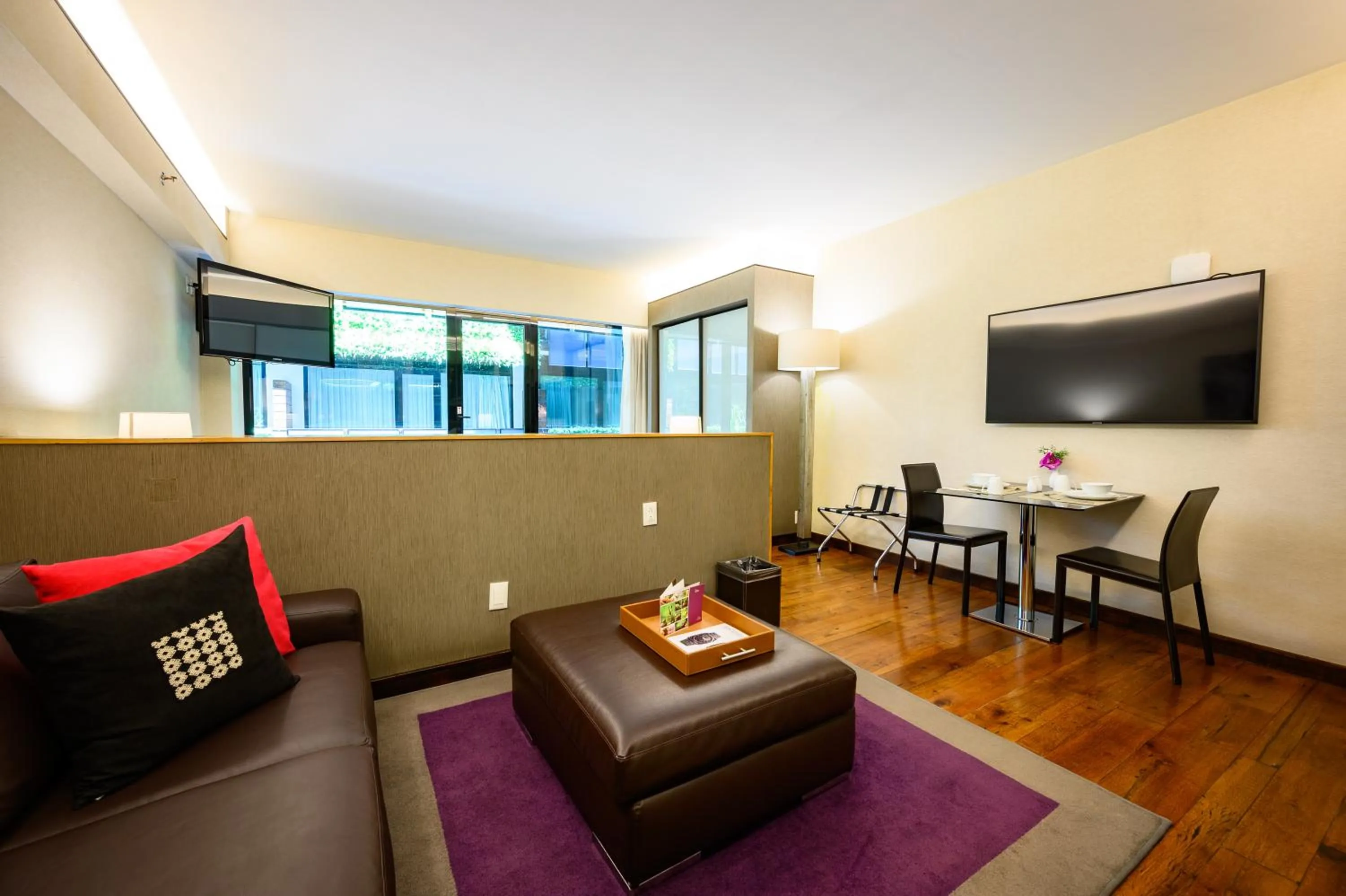 TV and multimedia in Las Suites Campos Eliseos