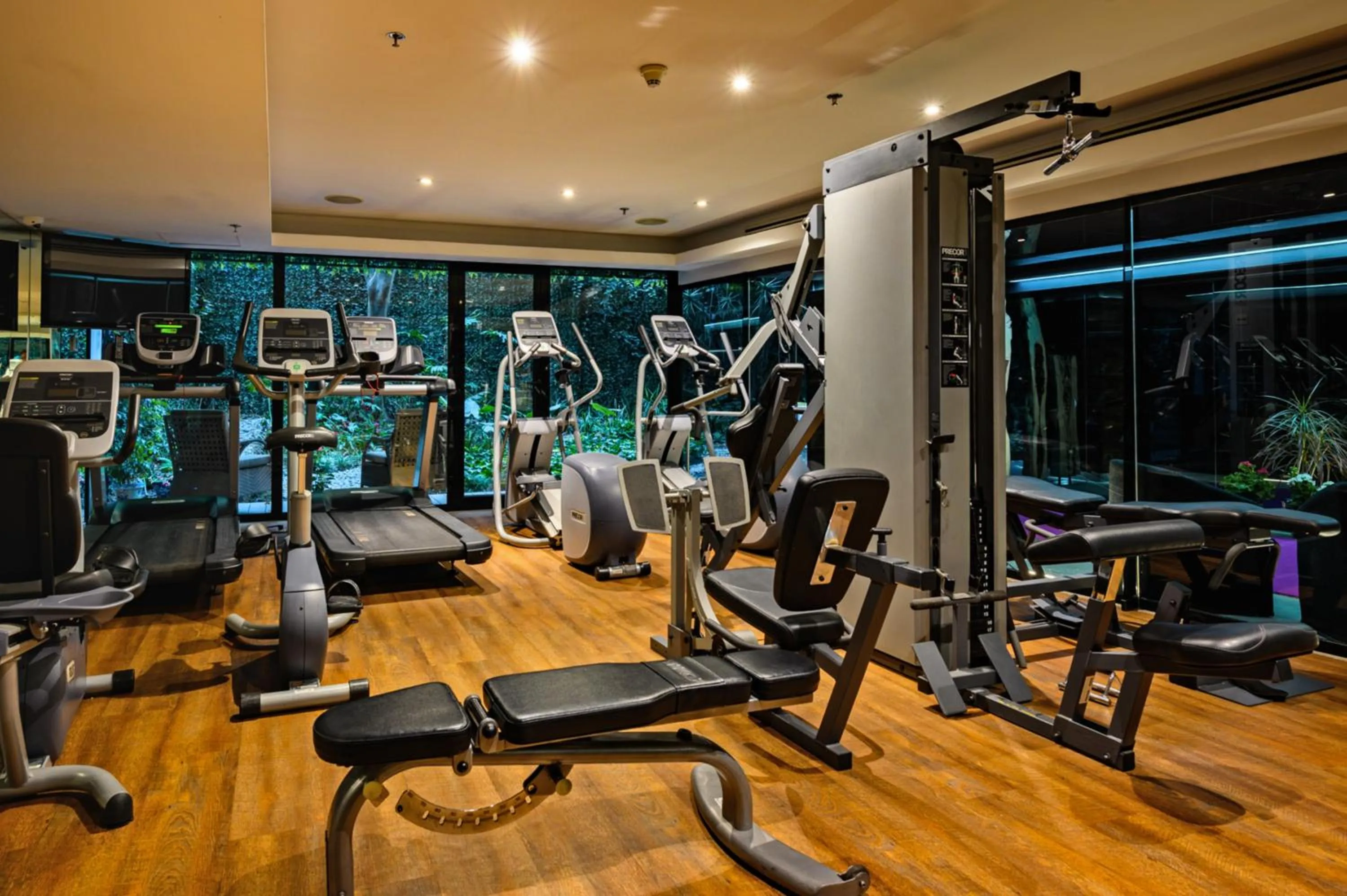 Fitness centre/facilities in Las Suites Campos Eliseos