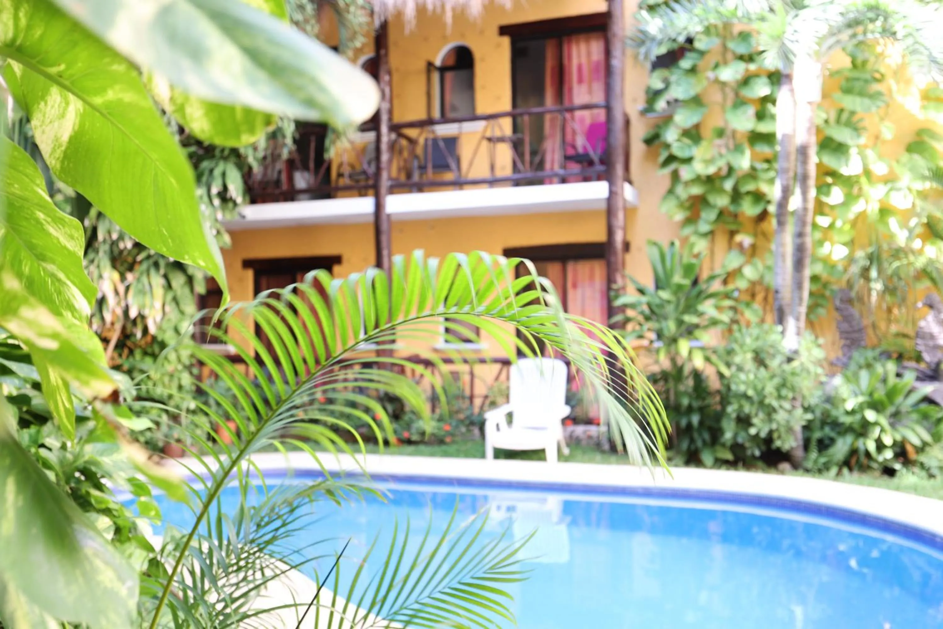 Garden in Hotel Bosque Caribe, 5th Av. zone