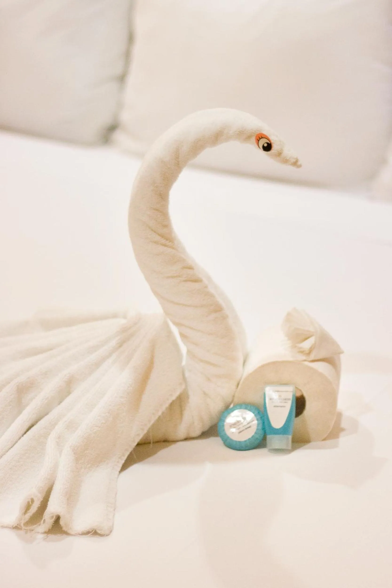 towels in Hotel Bosque Caribe, 5th Av. zone