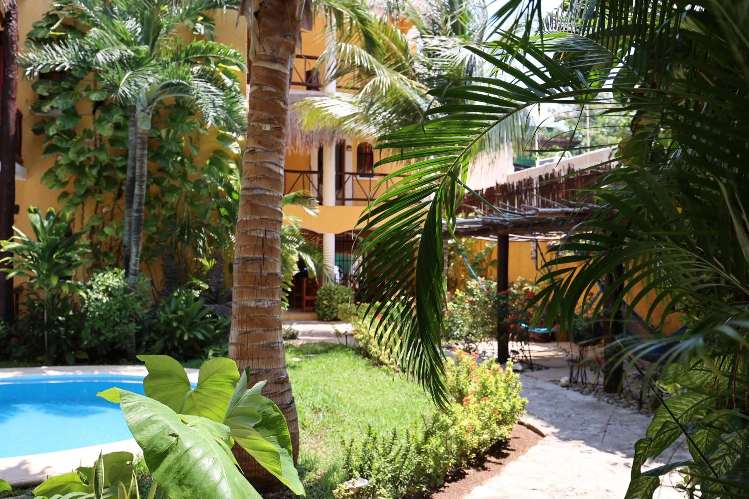 Natural landscape in Hotel Bosque Caribe, 5th Av. zone