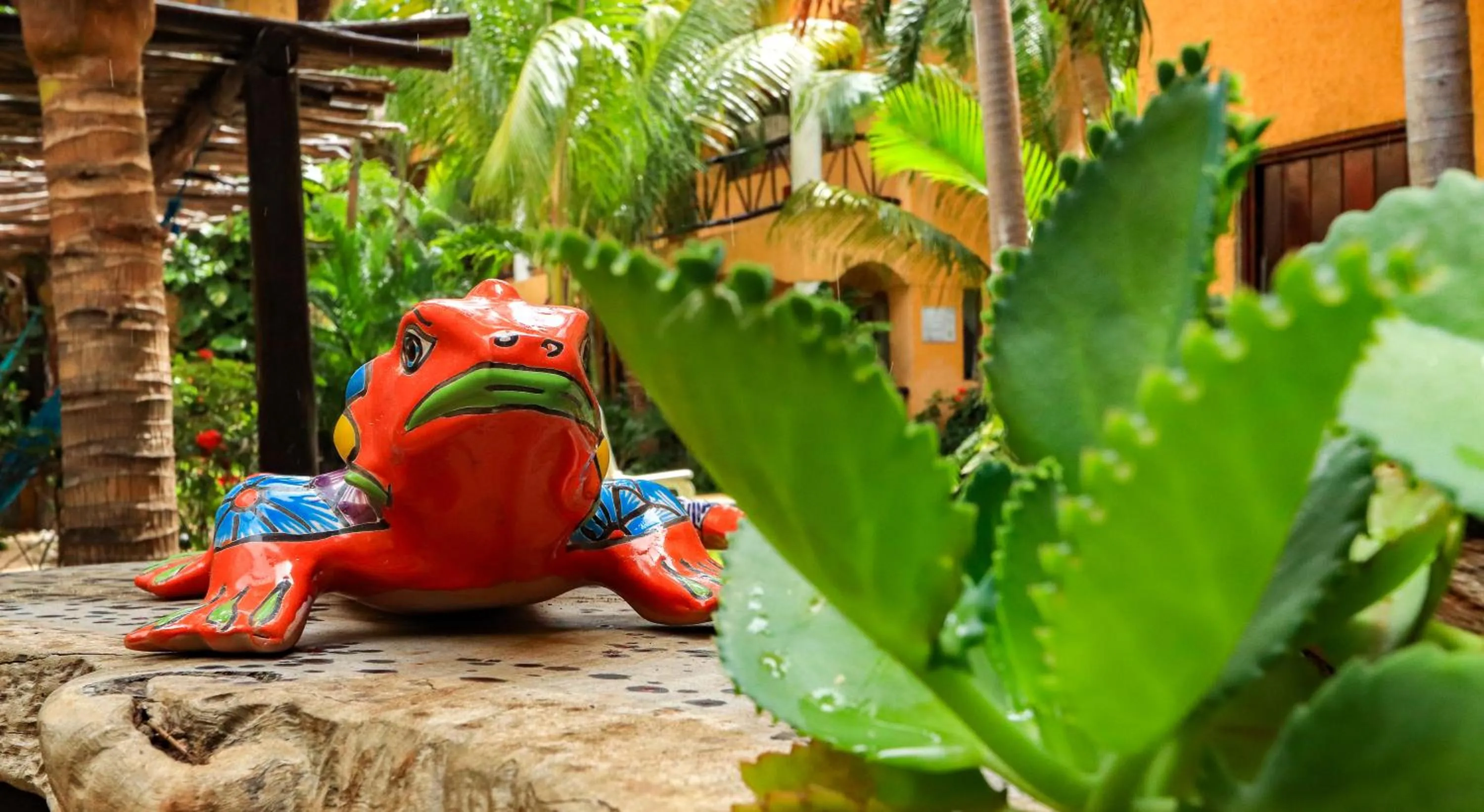 Garden in Hotel Bosque Caribe, 5th Av. zone