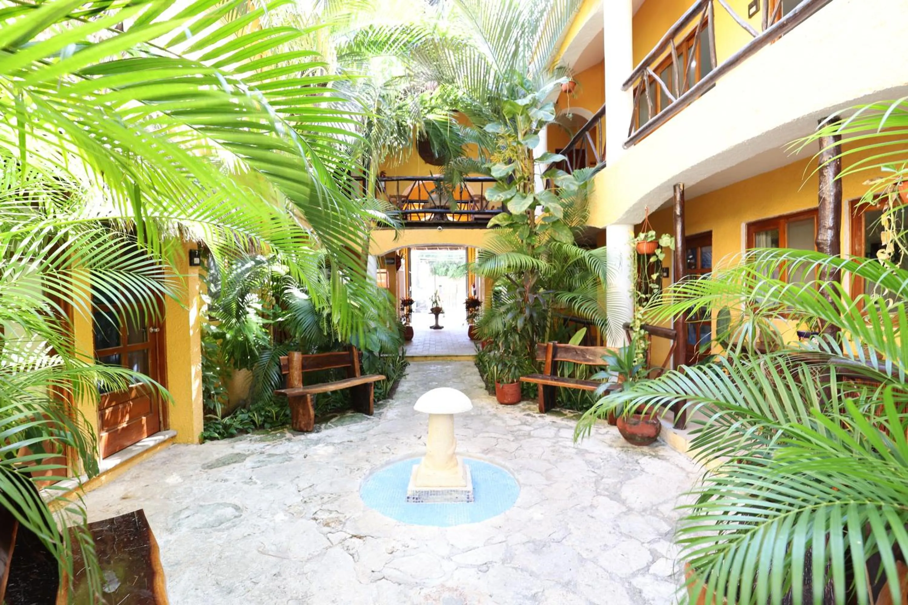 Patio in Hotel Bosque Caribe, 5th Av. zone