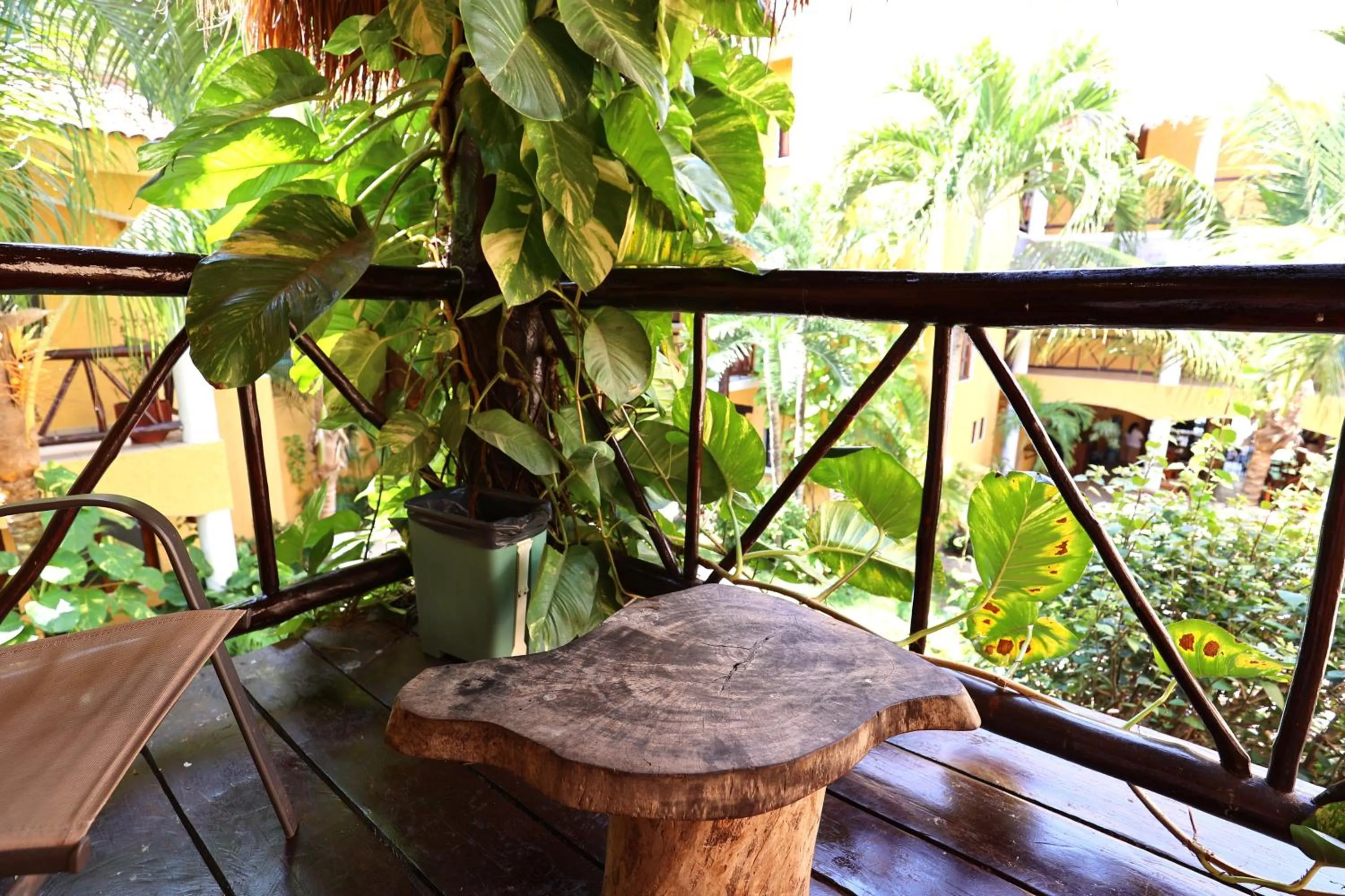 Patio in Hotel Bosque Caribe, 5th Av. zone