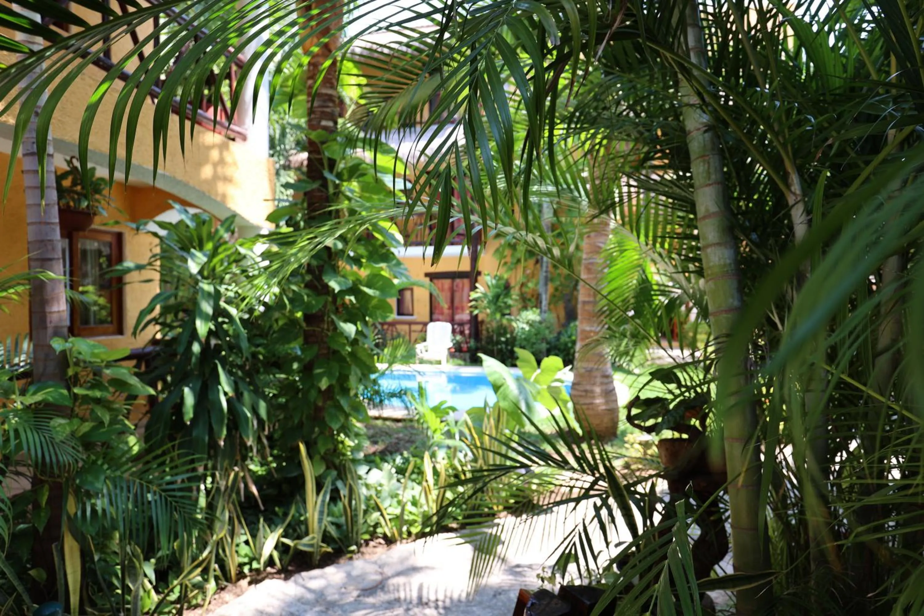 Natural landscape in Hotel Bosque Caribe, 5th Av. zone