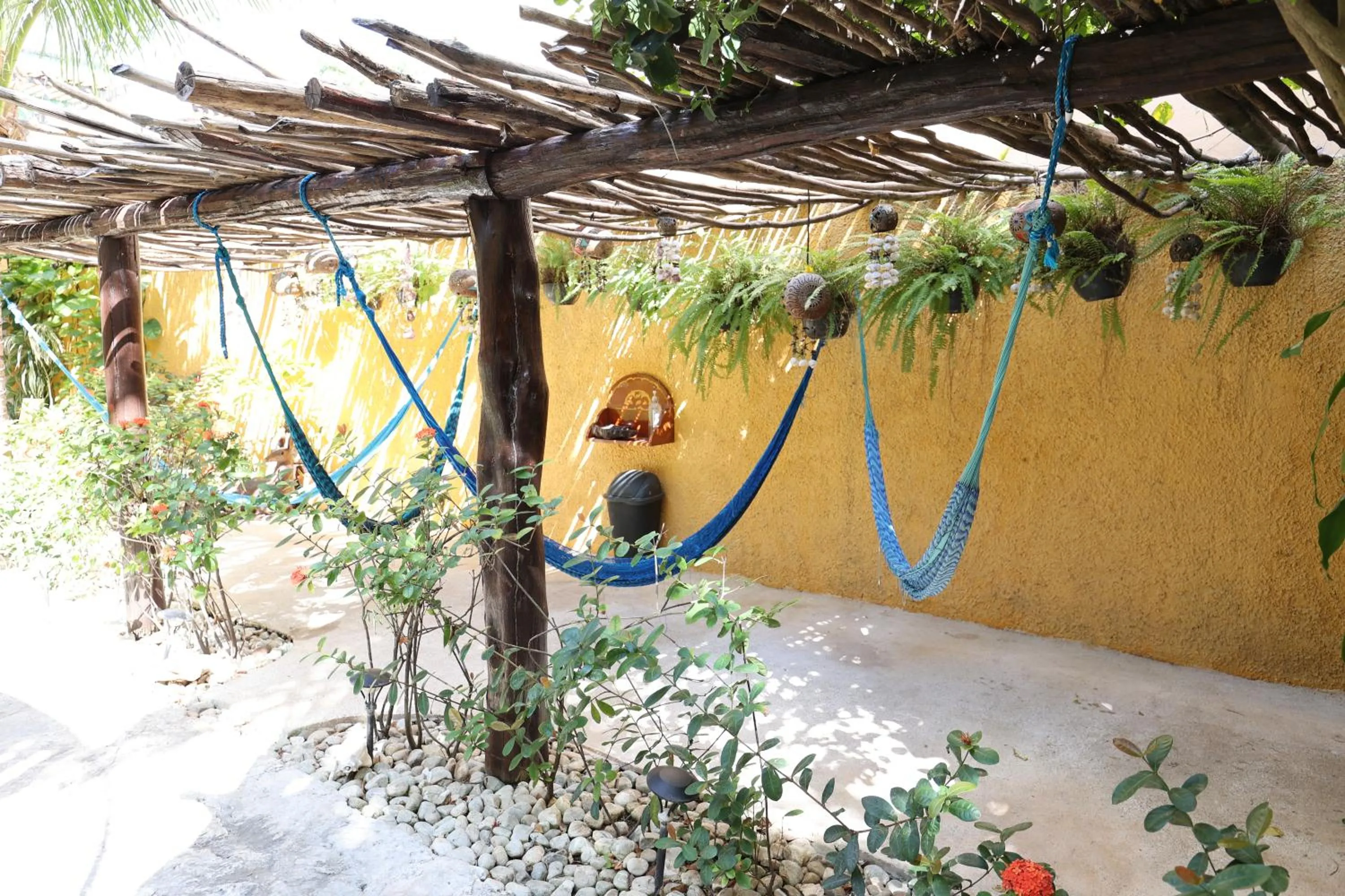 Garden in Hotel Bosque Caribe, 5th Av. zone
