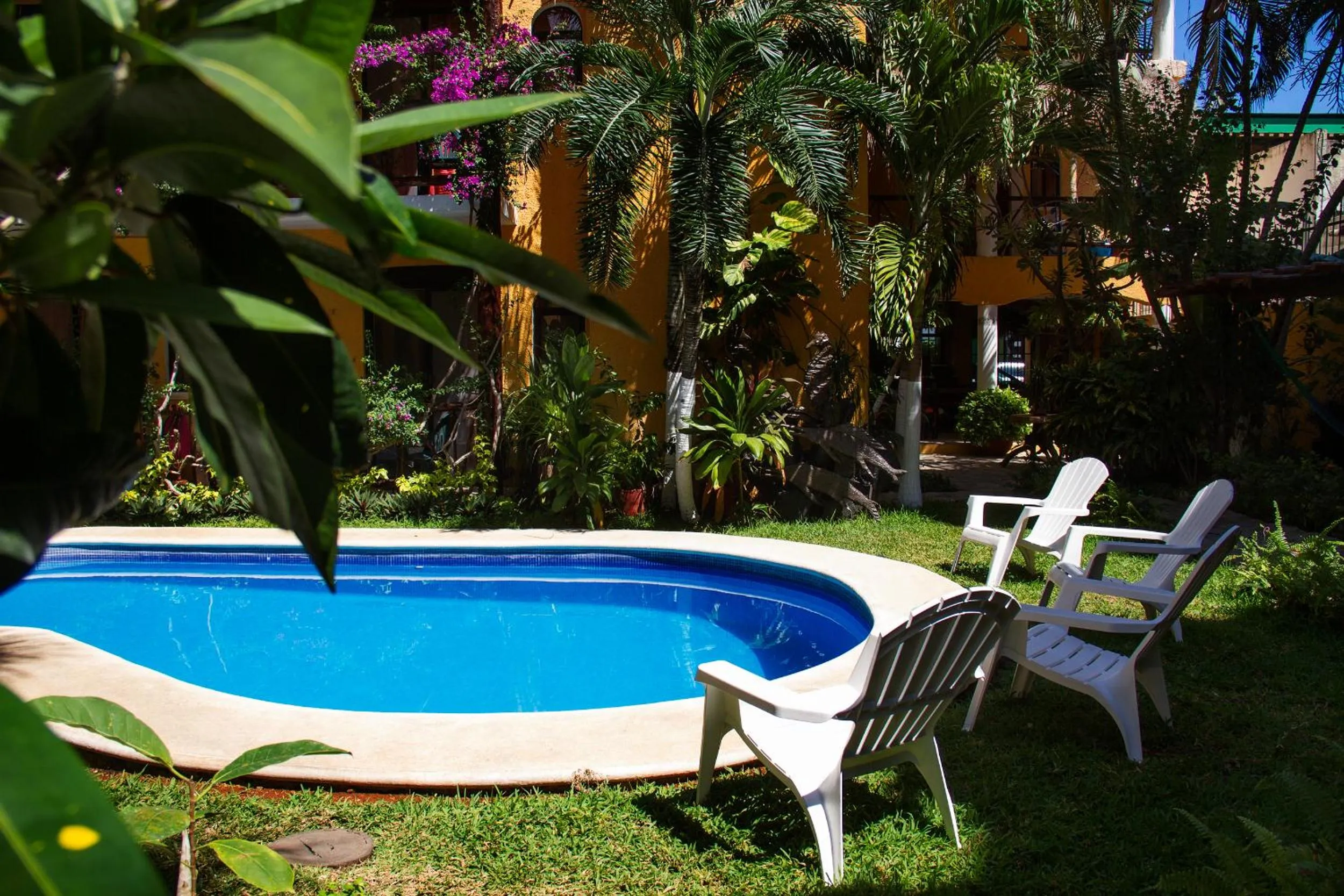Garden in Hotel Bosque Caribe, 5th Av. zone