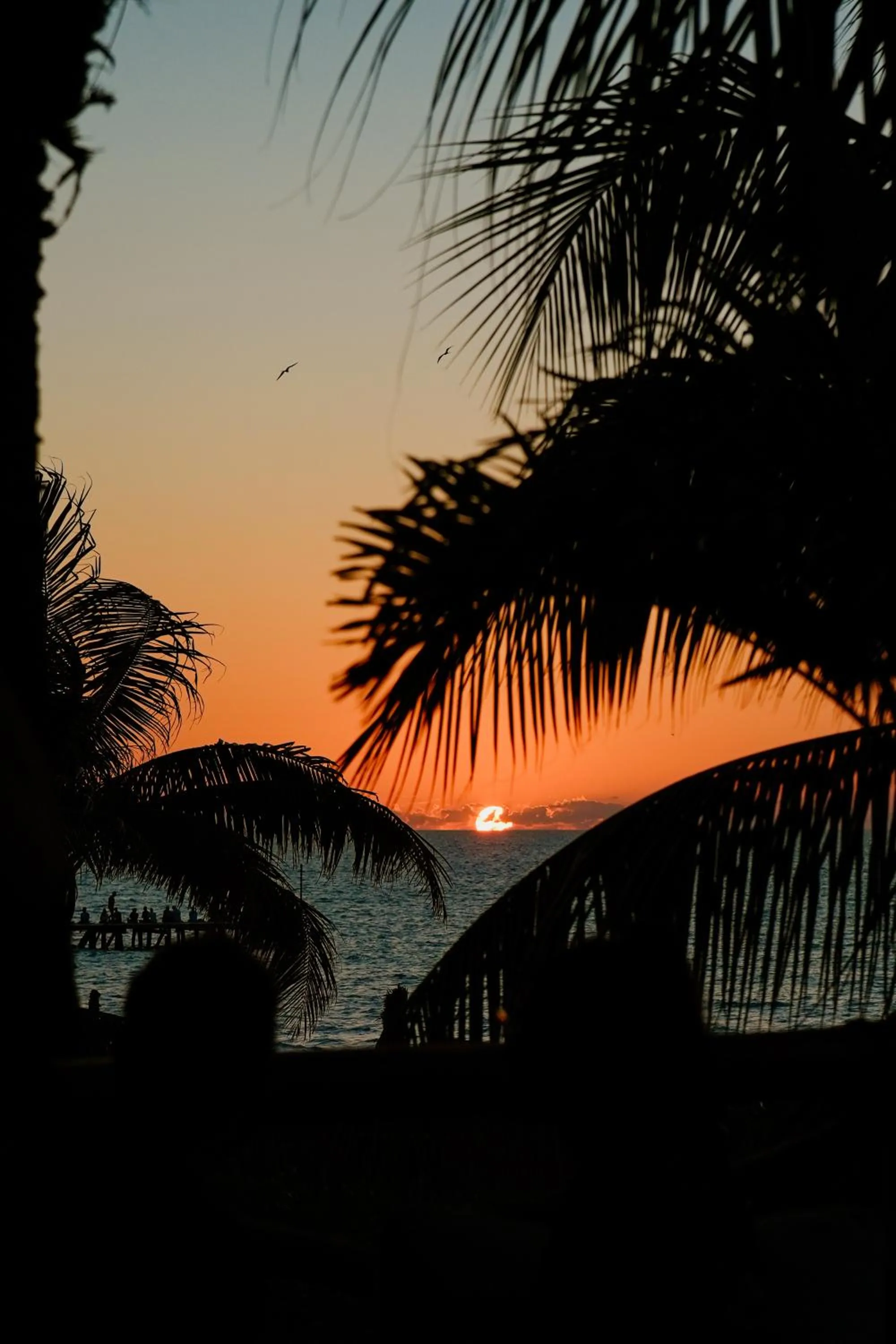 Sea view in Casa Las Tortugas Petit Beach Hotel & Spa