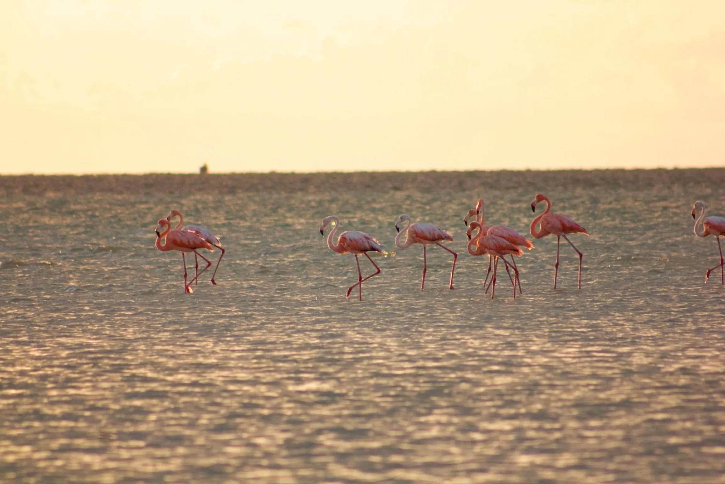 Day in Casa Las Tortugas Petit Beach Hotel & Spa