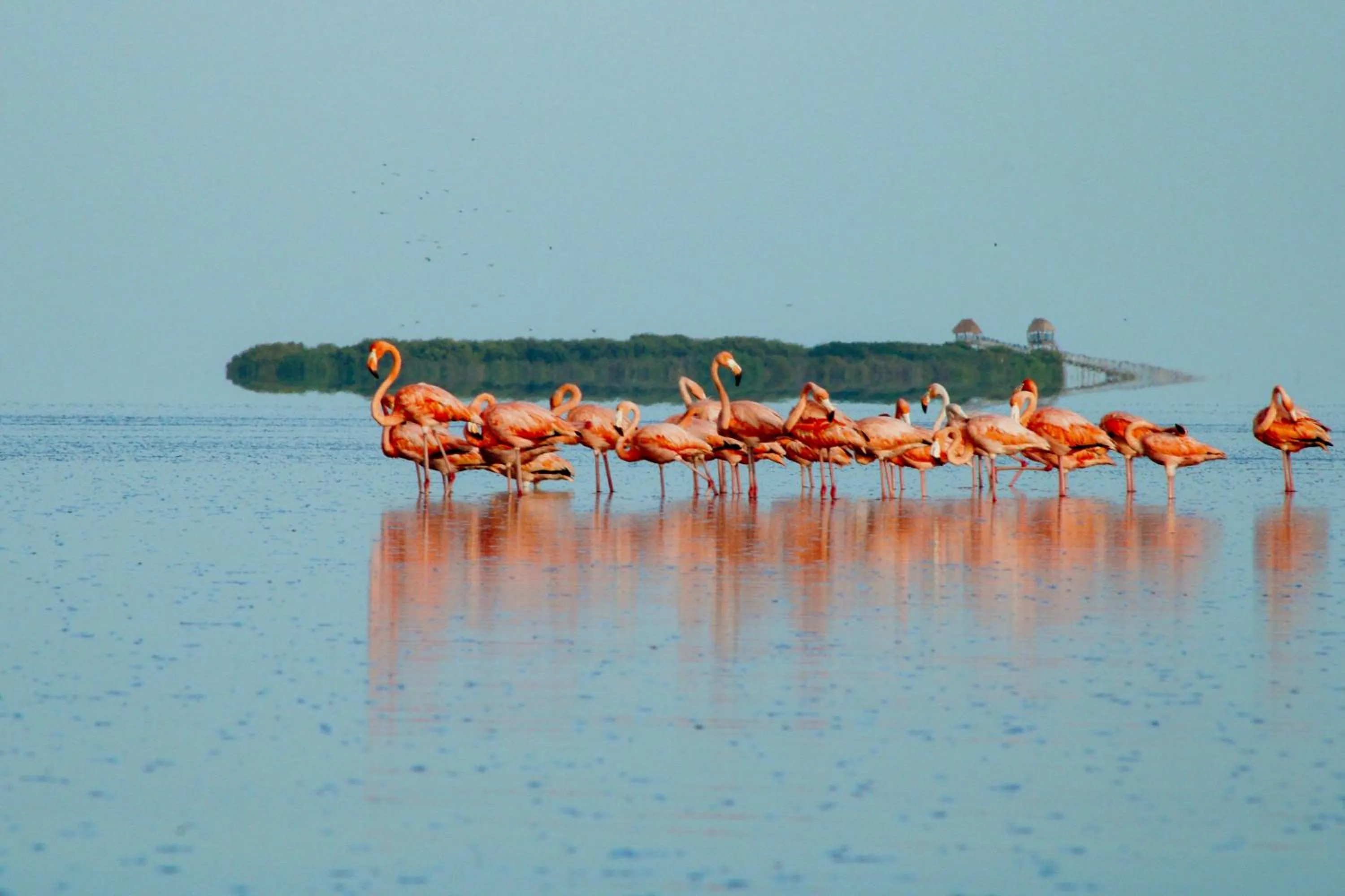 Natural landscape in Casa Las Tortugas Petit Beach Hotel & Spa