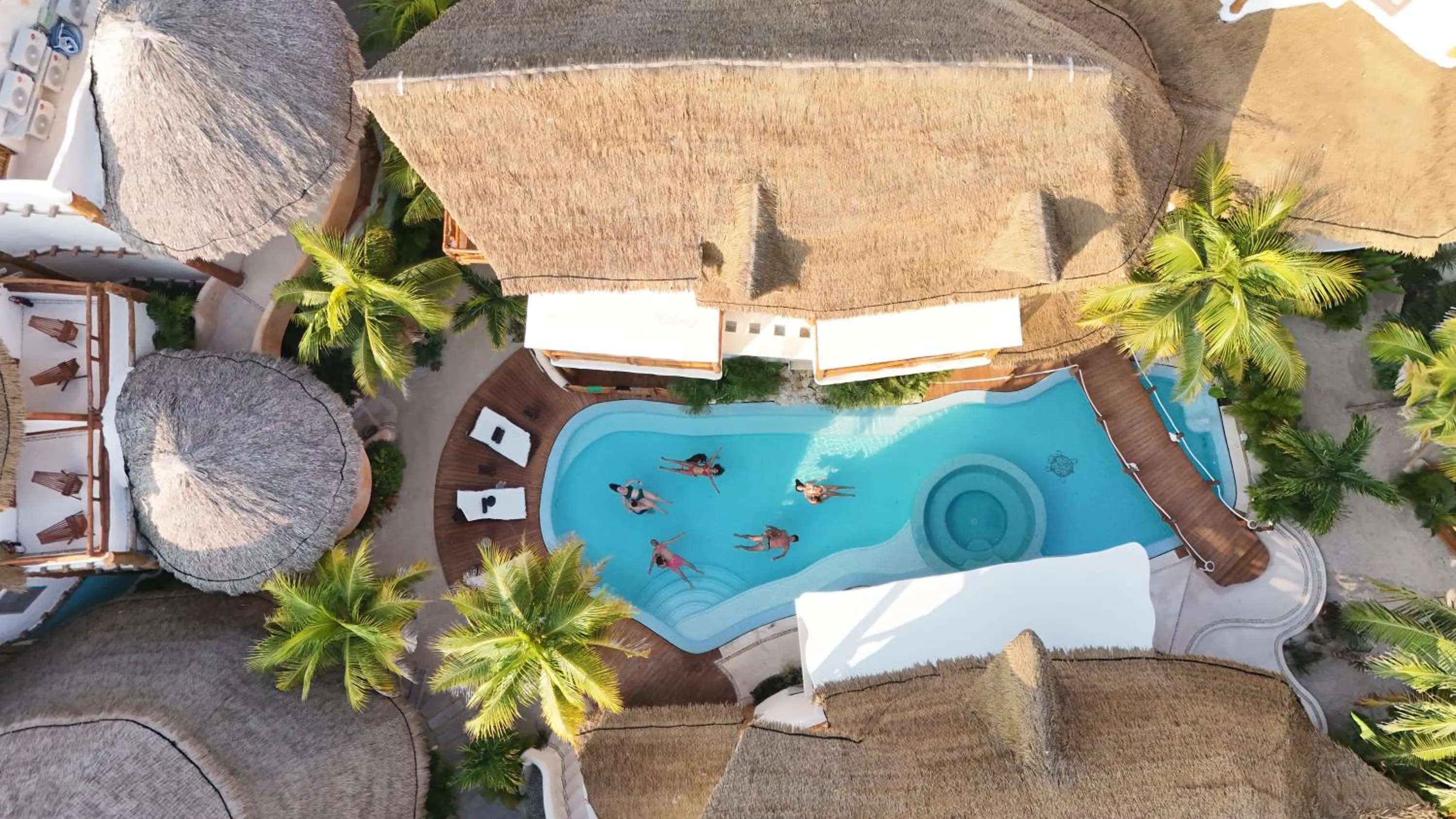 Activities in Casa Las Tortugas Petit Beach Hotel & Spa