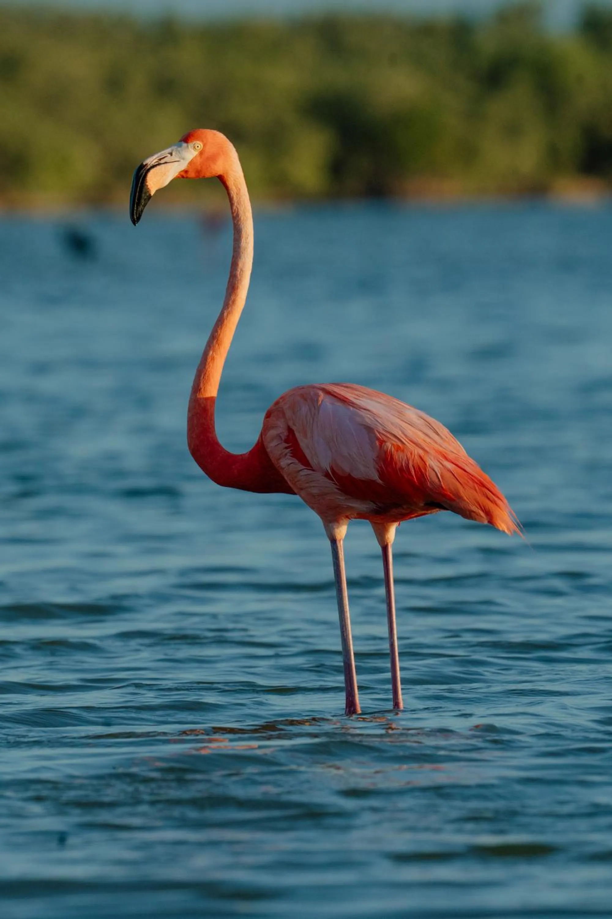 Day in Casa Las Tortugas Petit Beach Hotel & Spa