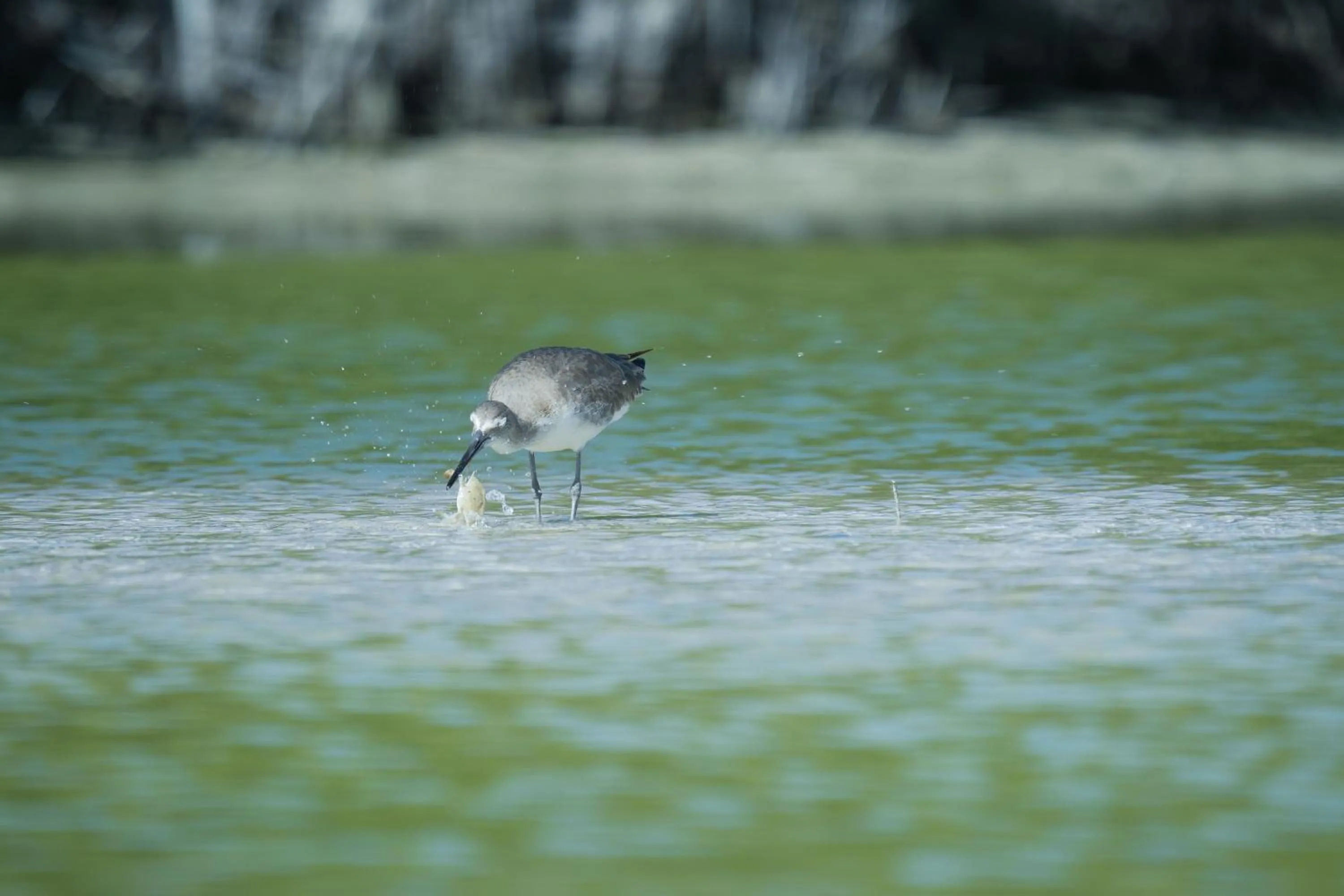 Day in Casa Las Tortugas Petit Beach Hotel & Spa