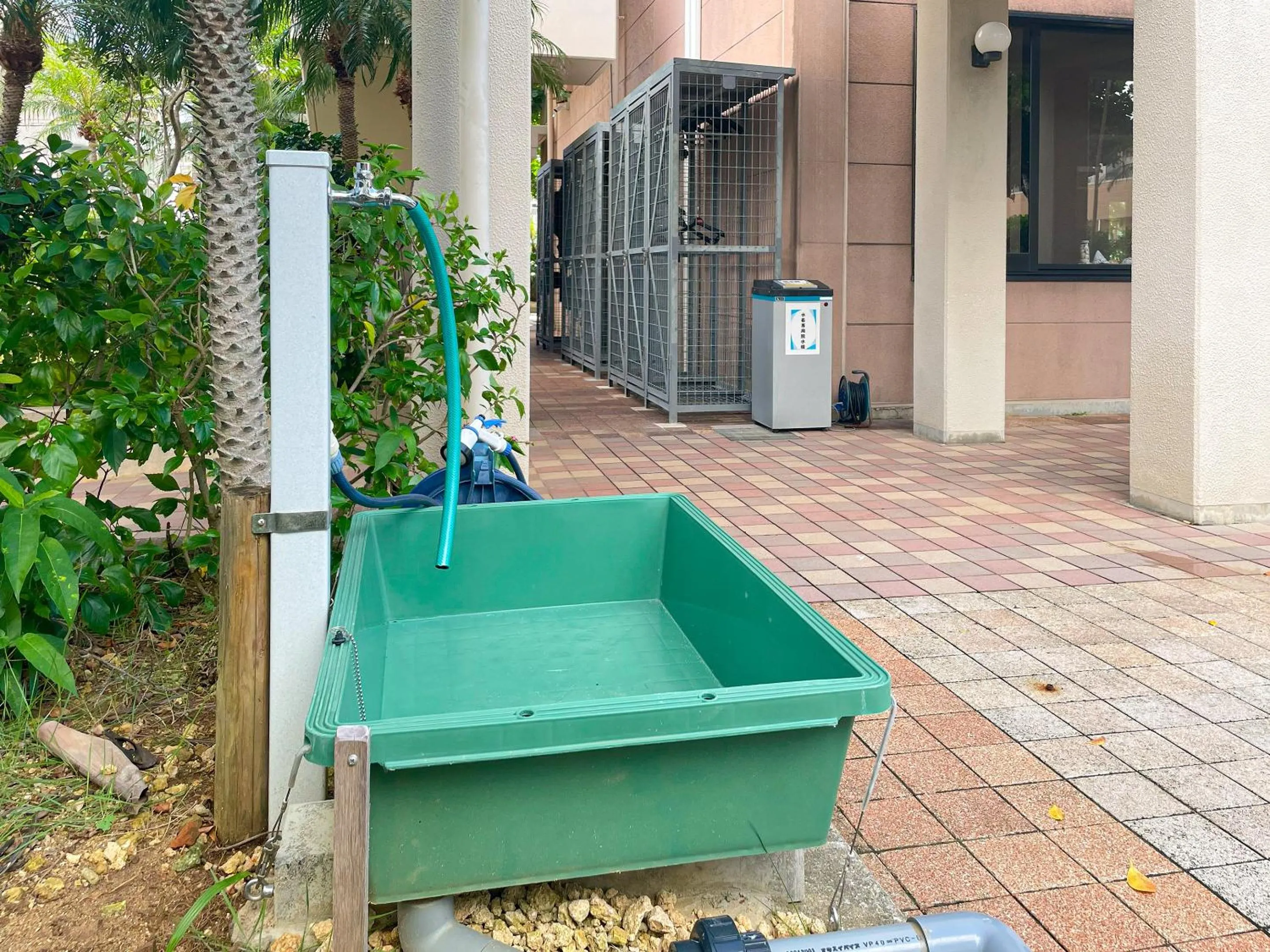 Diving in Route Inn Grantia Ishigaki