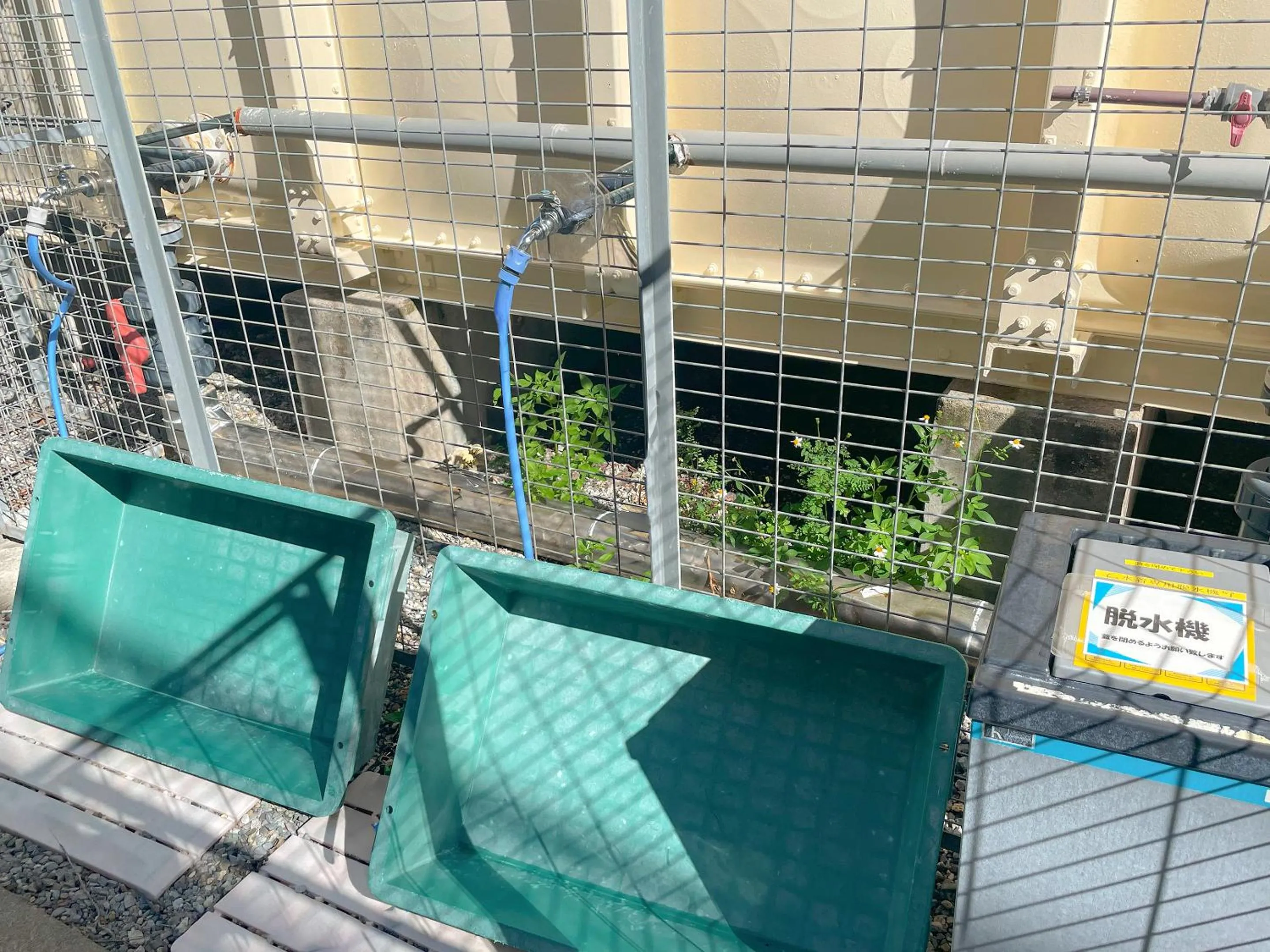 Diving in Route Inn Grantia Ishigaki