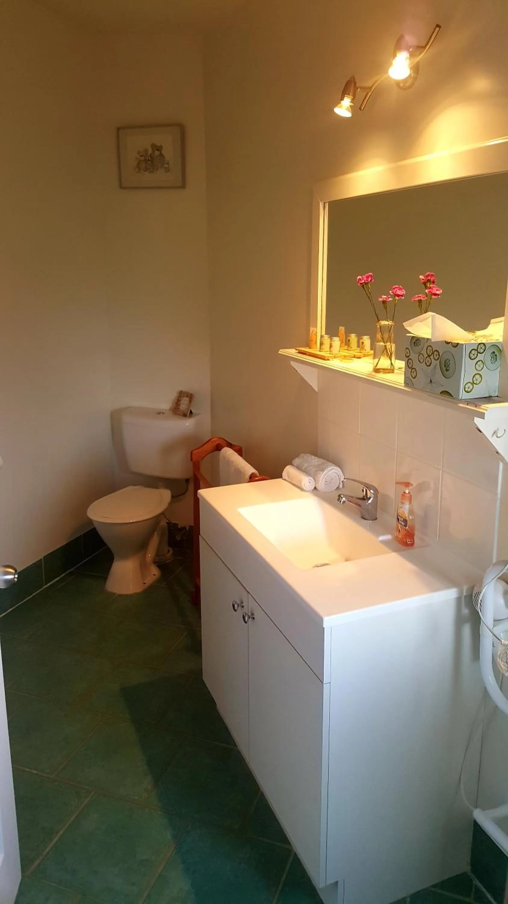 The Bears Went Over The Mountain