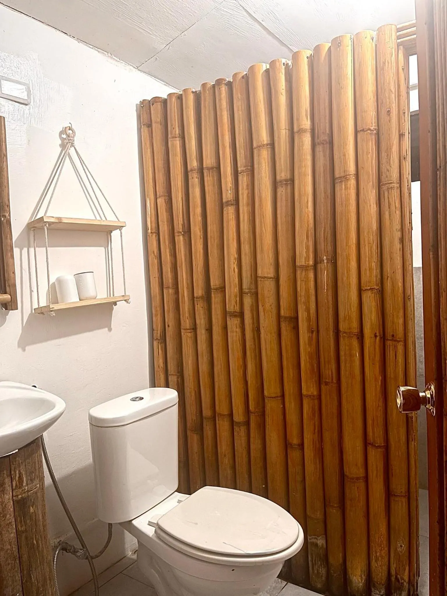 Monkey Business Siquijor