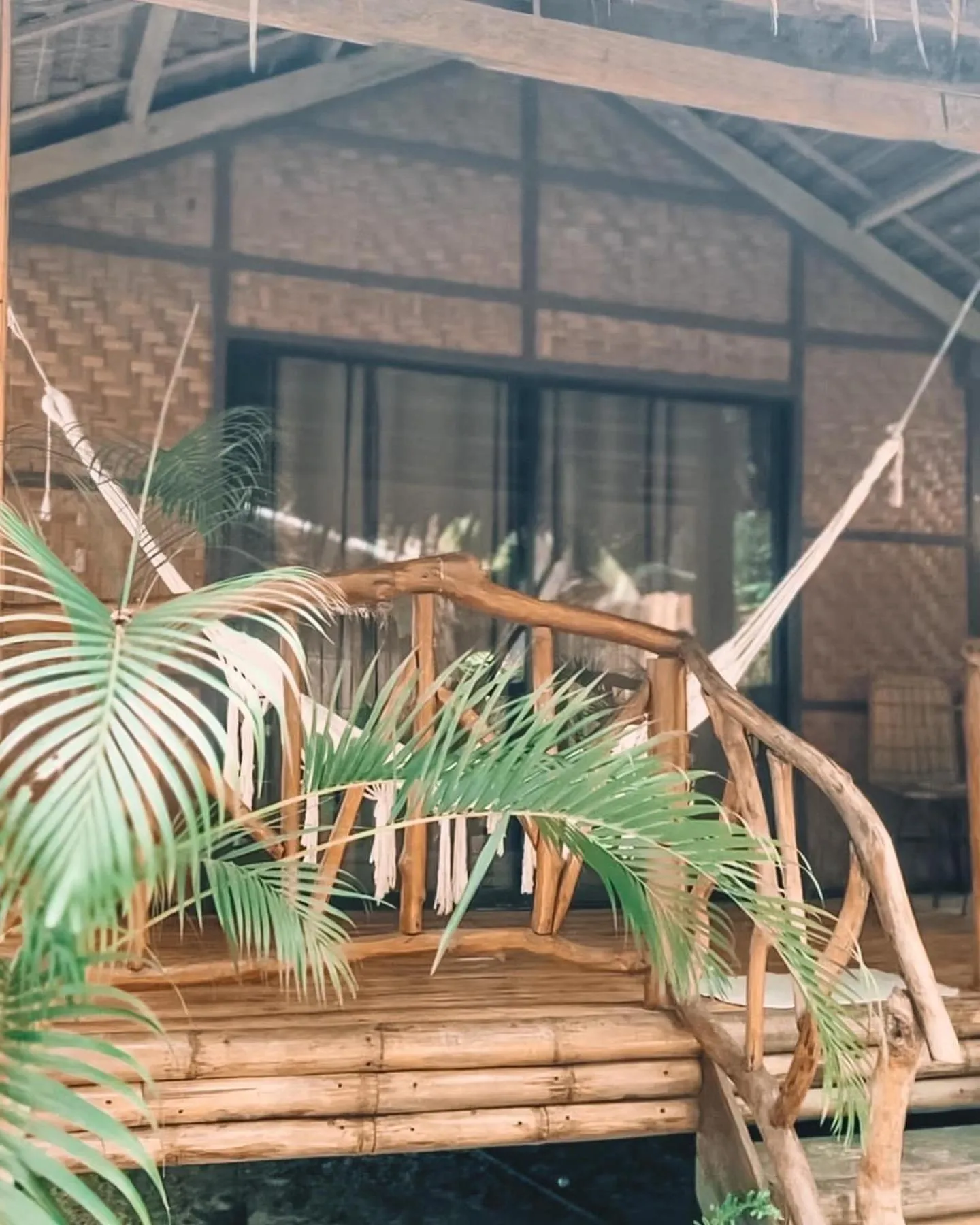 Monkey Business Siquijor