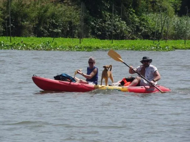 Activities in Hidden Holiday House