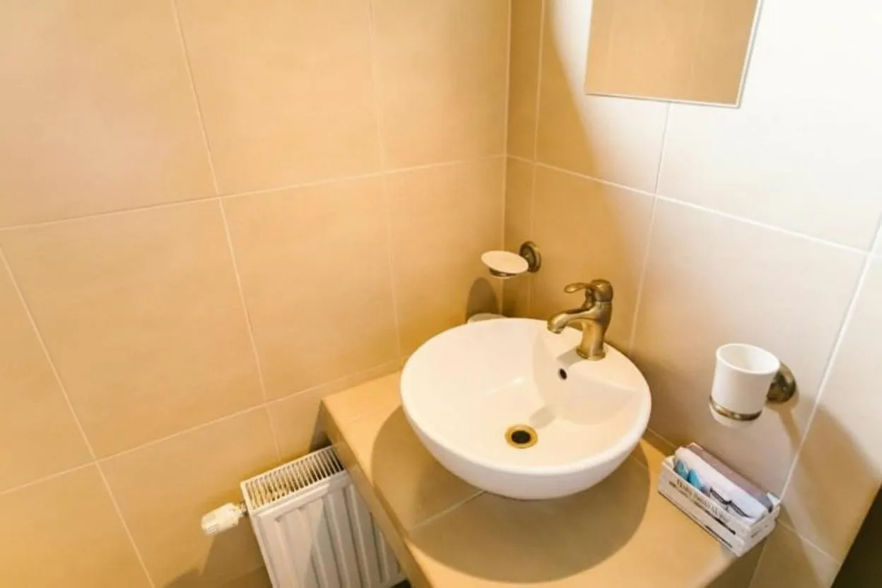 Bathroom in Hanul Conitei