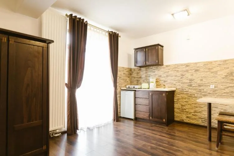 Kitchen or kitchenette in Hanul Conitei