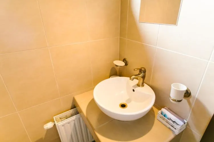 Bathroom in Hanul Conitei