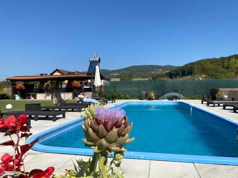 Swimming pool in Hanul Conitei