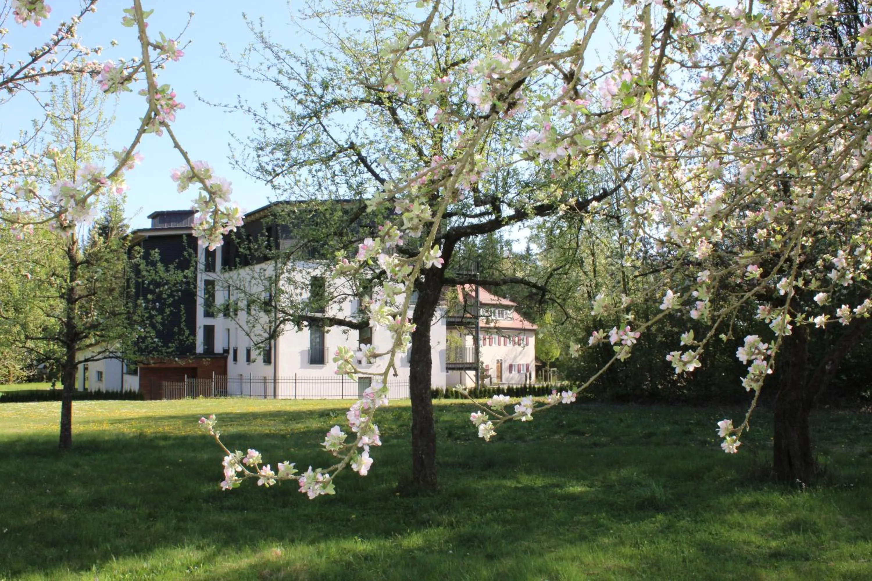 Spring in Waldhotel Rainau