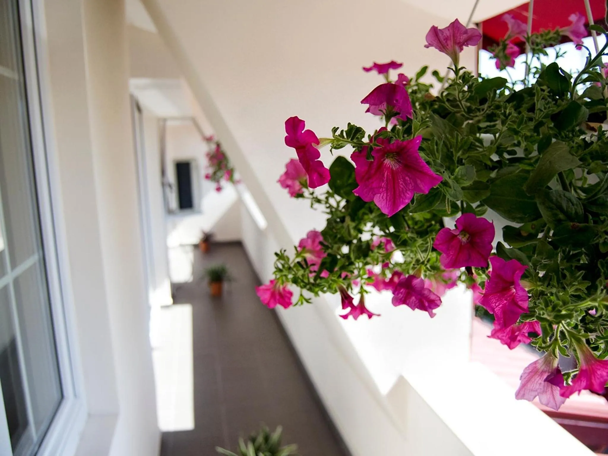 Balcony/Terrace in Hotel Tranzzit