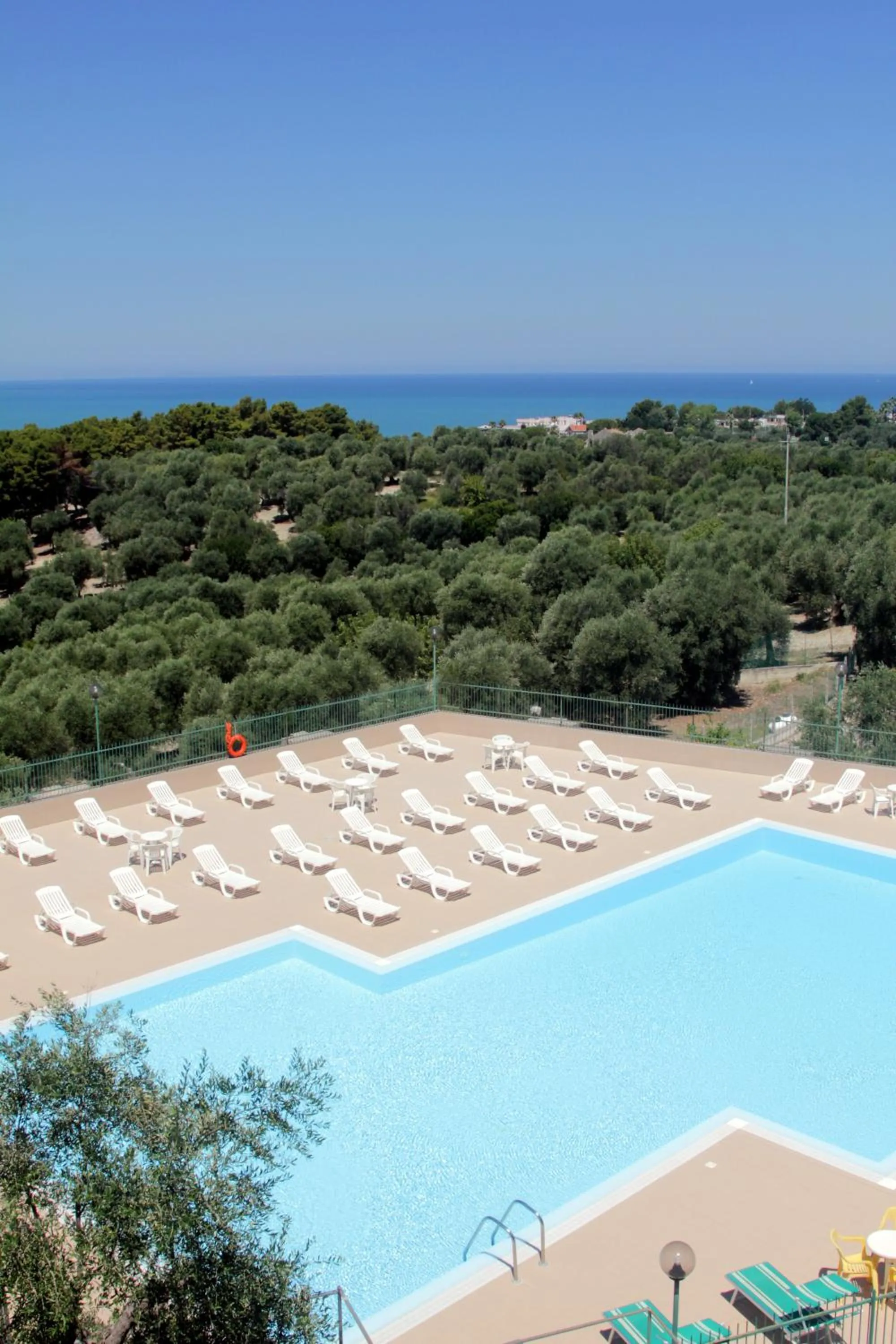 Swimming pool in Albergo 2 Pini