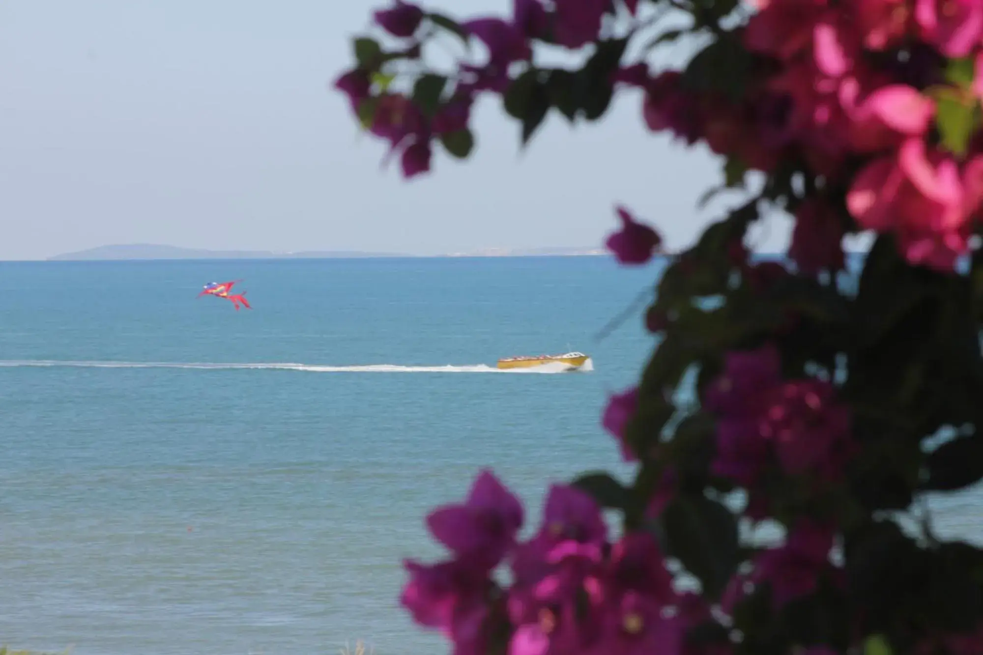 Albergo 2 Pini Albergo 2 Pini