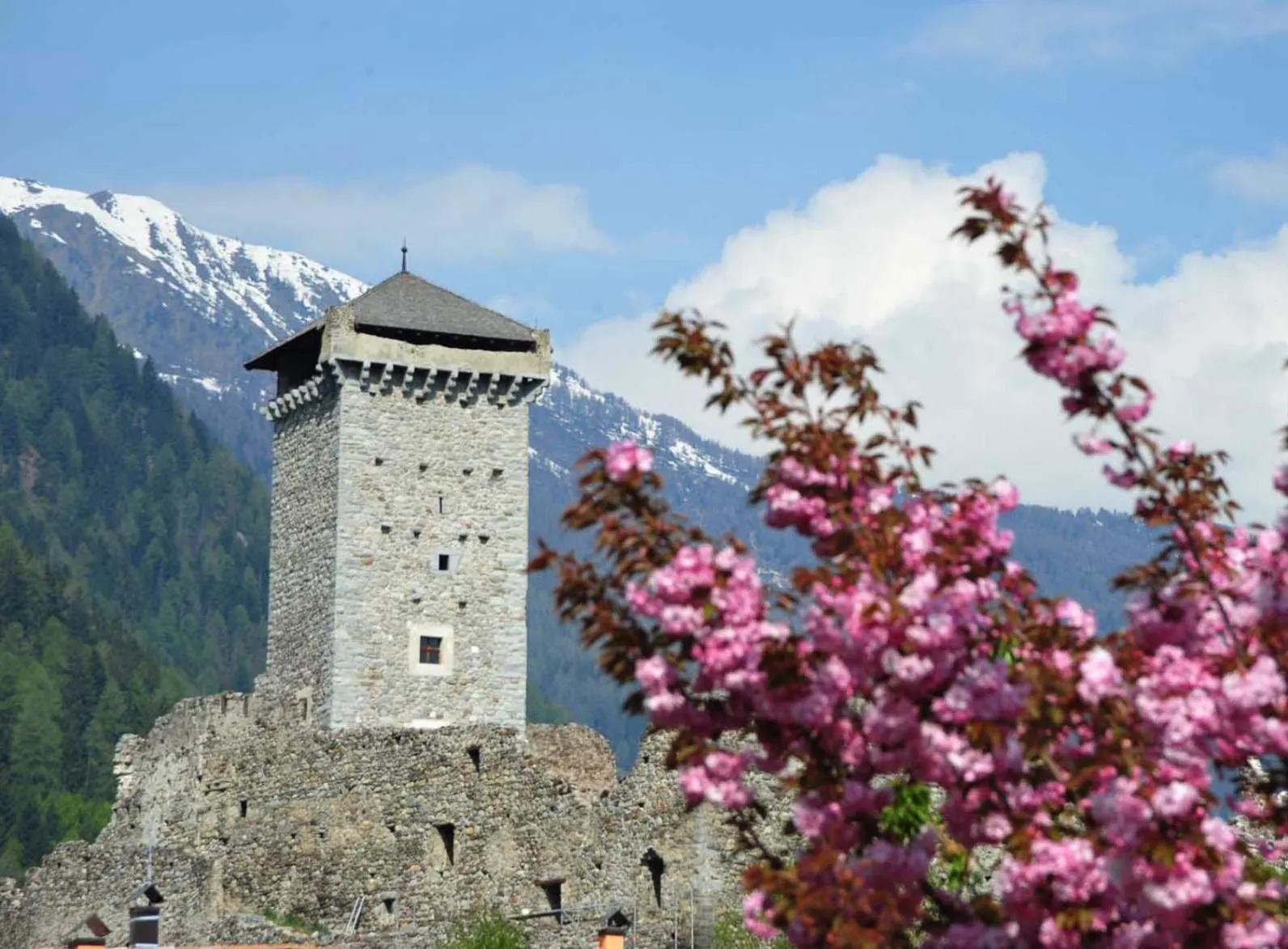 Logo/Certificate/Sign in Hotel Santoni