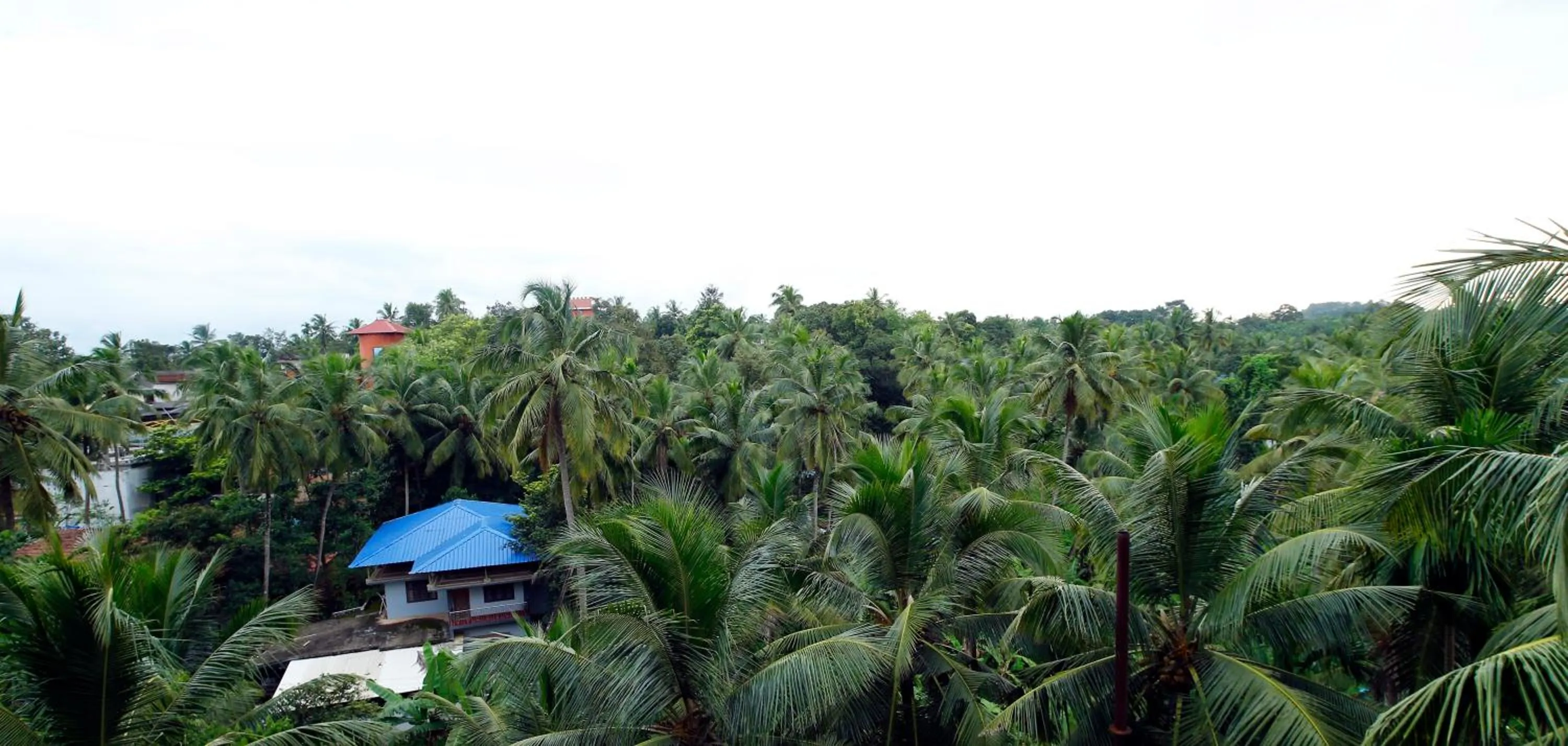 View (from property/room) in Hotel Park Residency