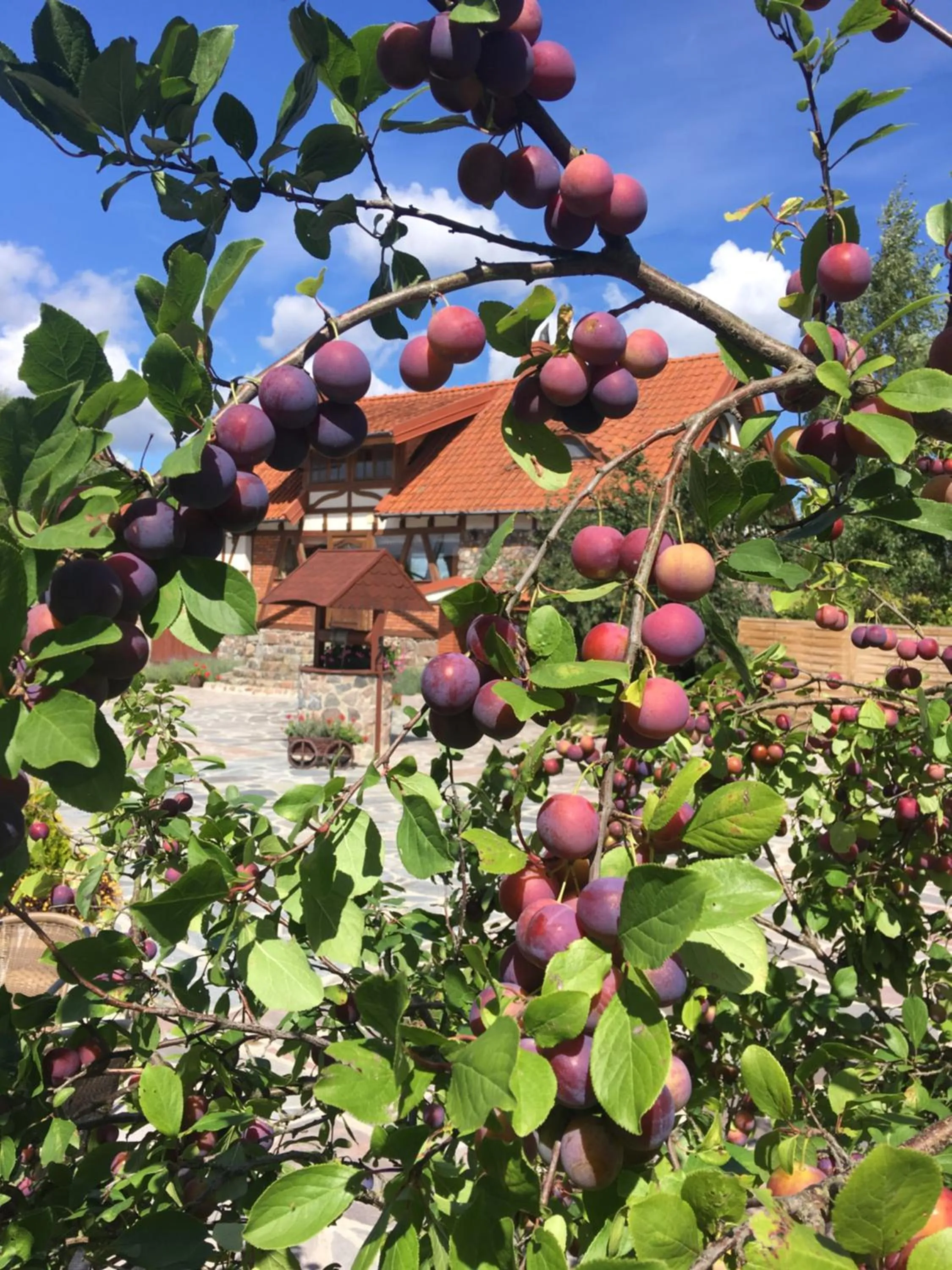 Day in Targowski Dwór Mazury