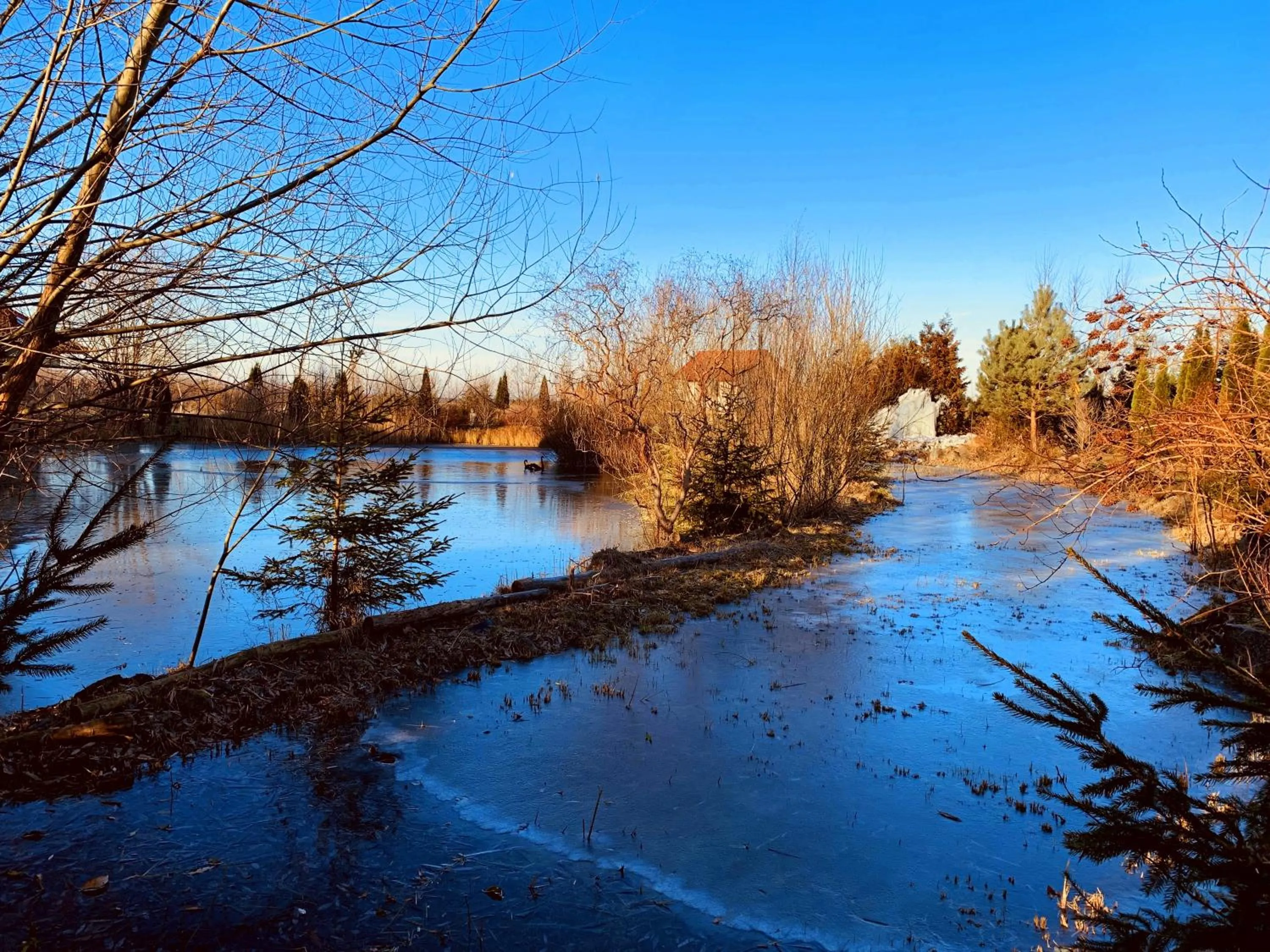 Natural landscape in Targowski Dwór Mazury