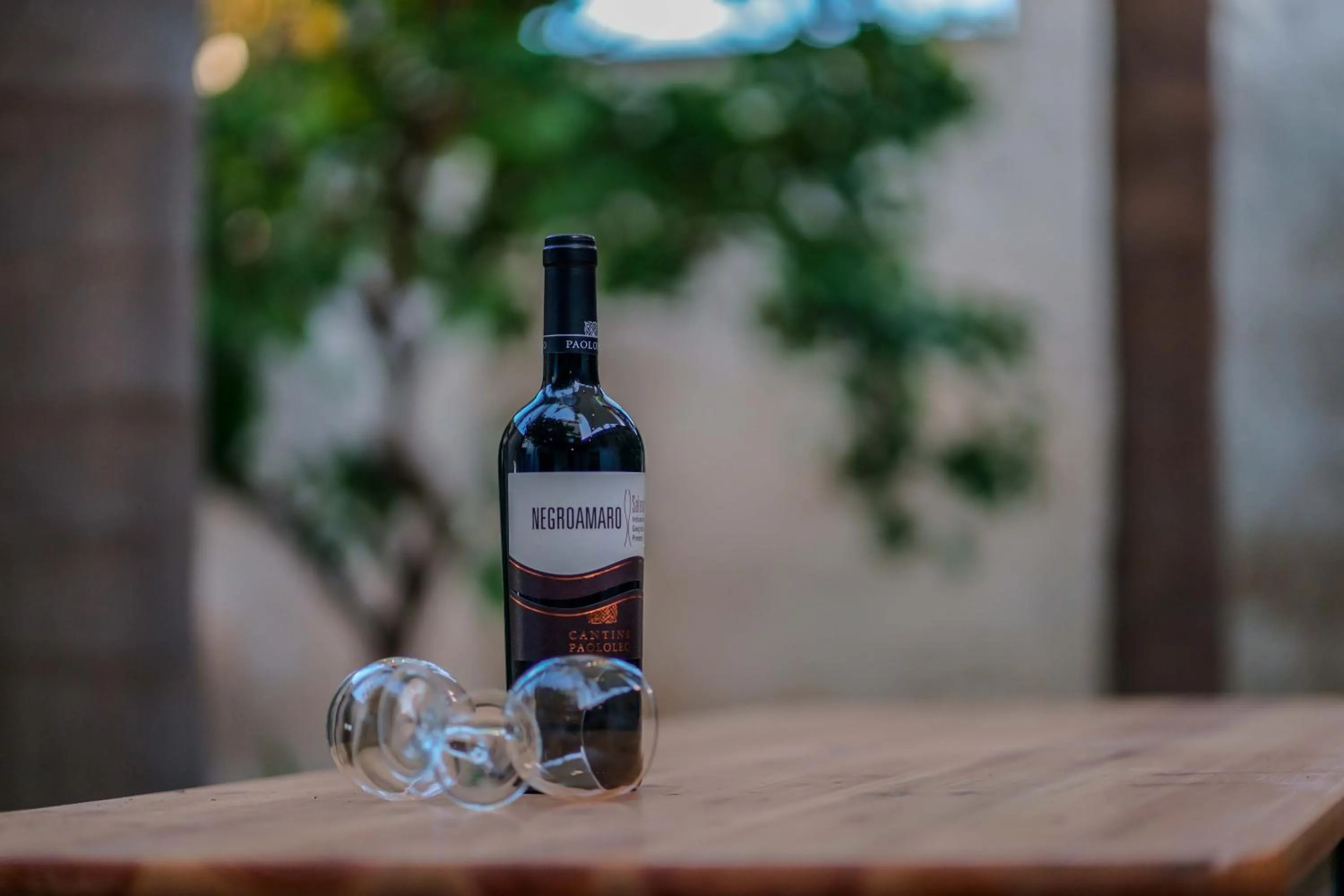 Garden in Antico Frantoio Cairoli B&B Exclusive Room