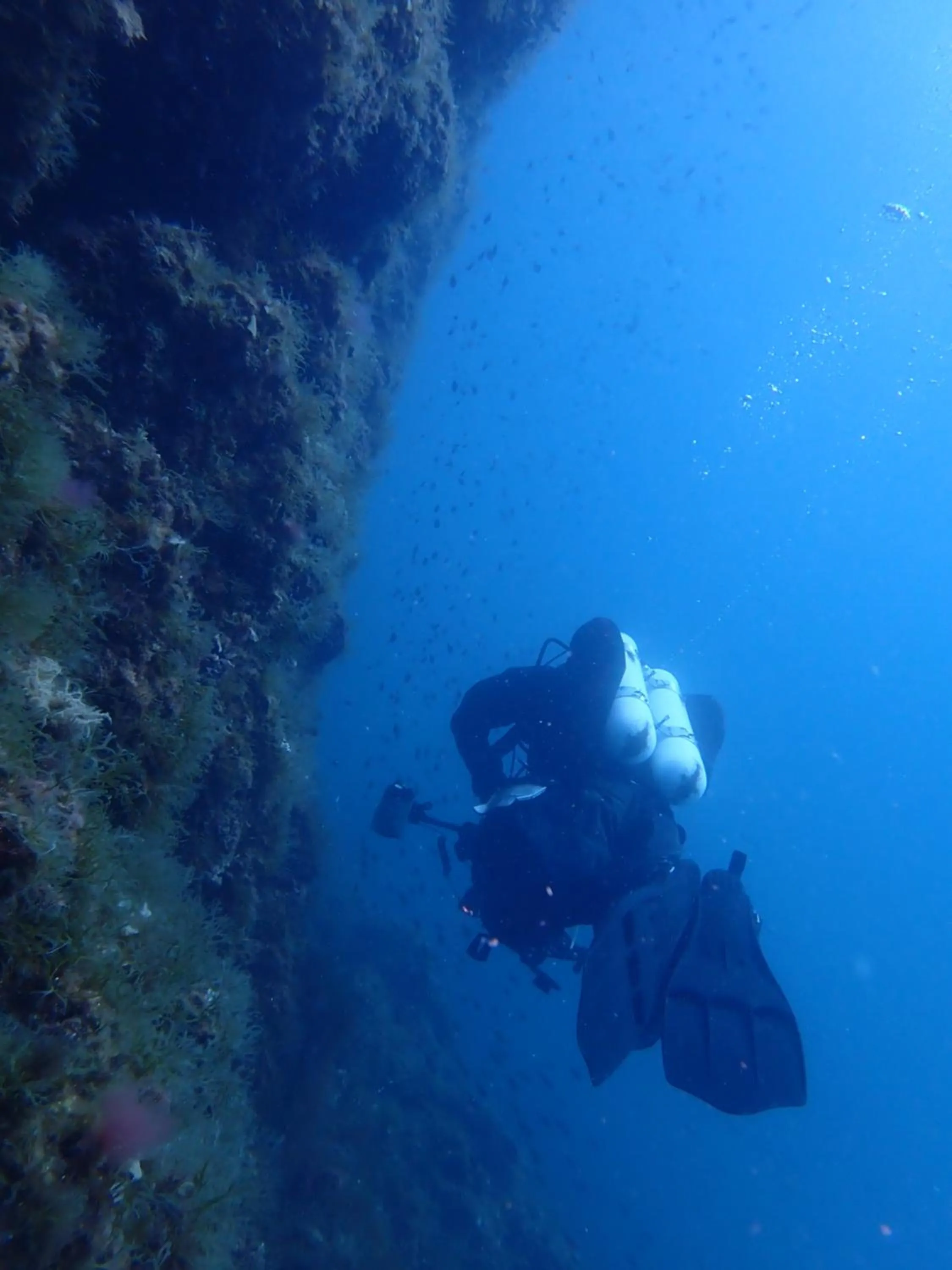 Diving in Antico Frantoio Cairoli B&B Exclusive Room